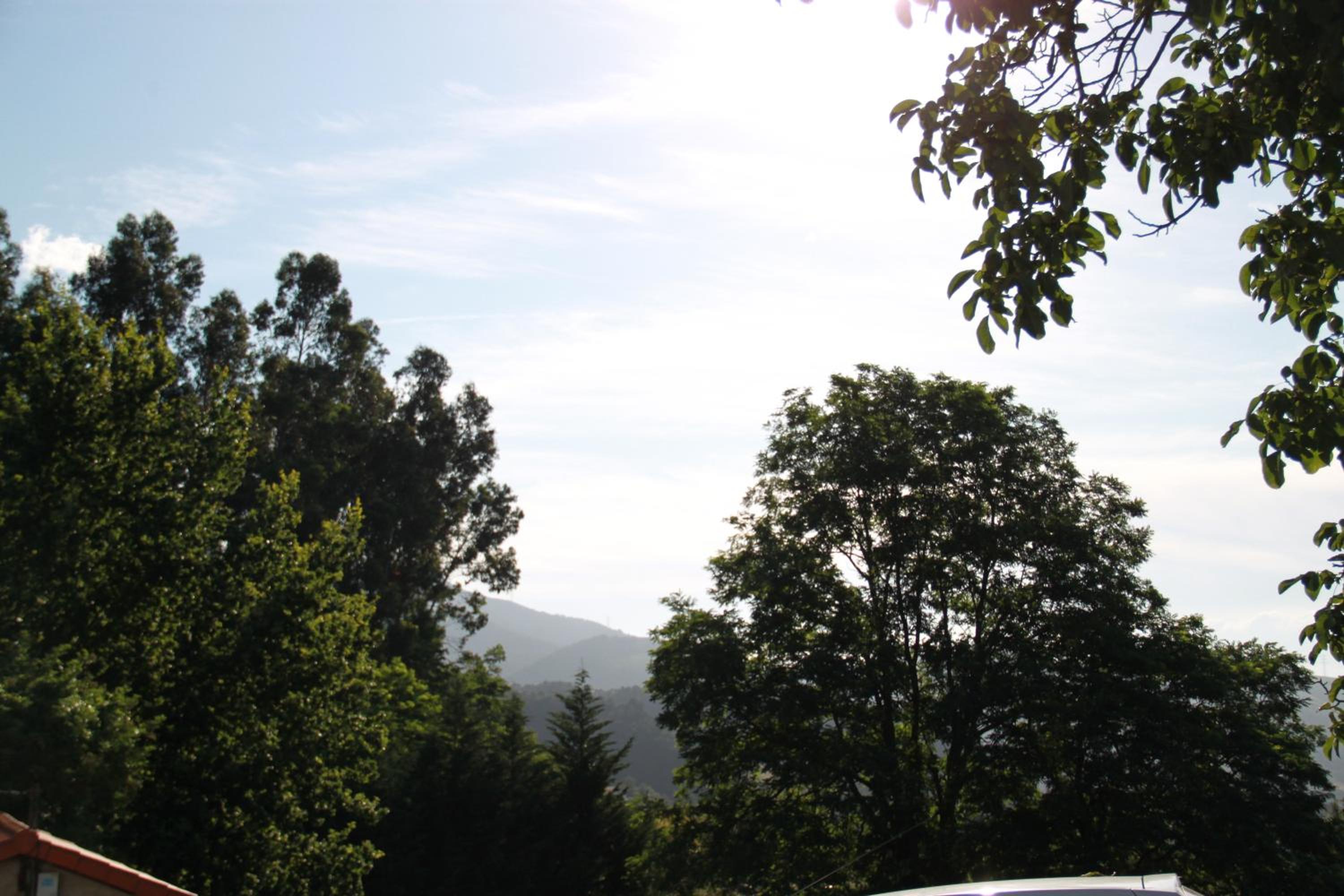 Photo 50