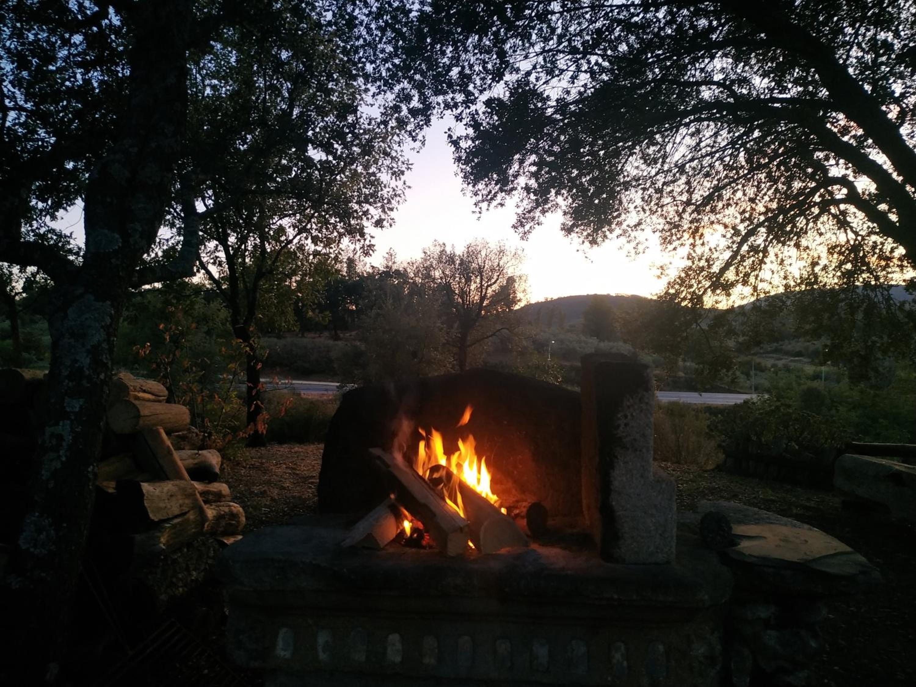 Photo 36