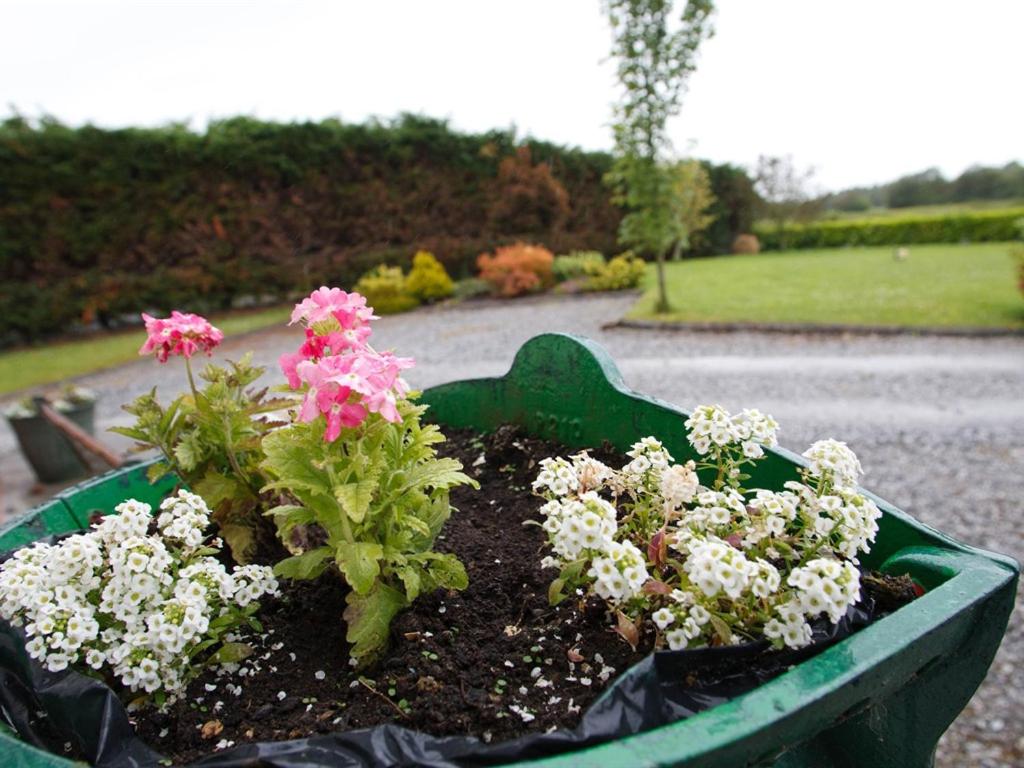 Dun Cromain B&B