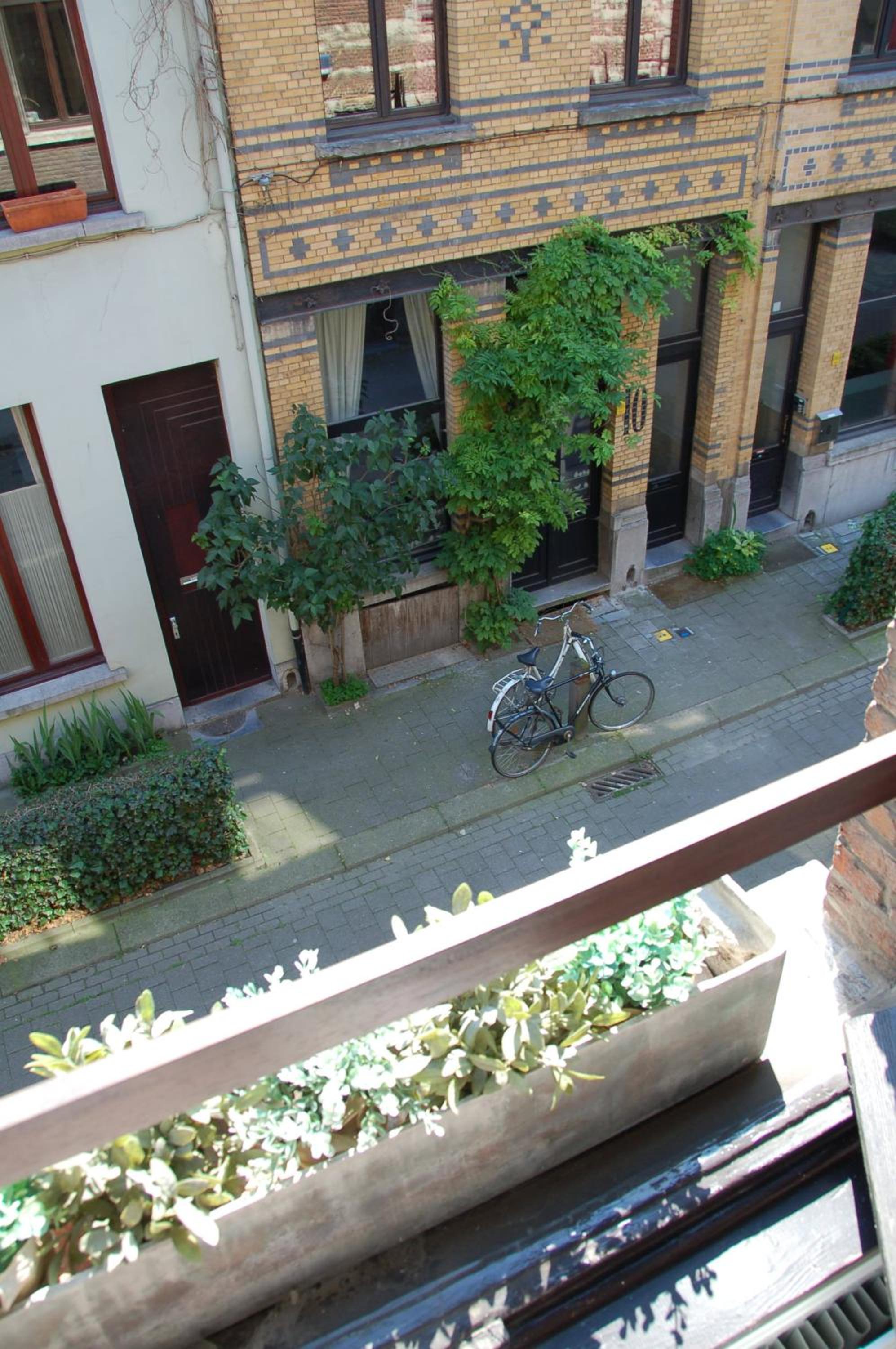 Plezantwerpen, Zuiderzin