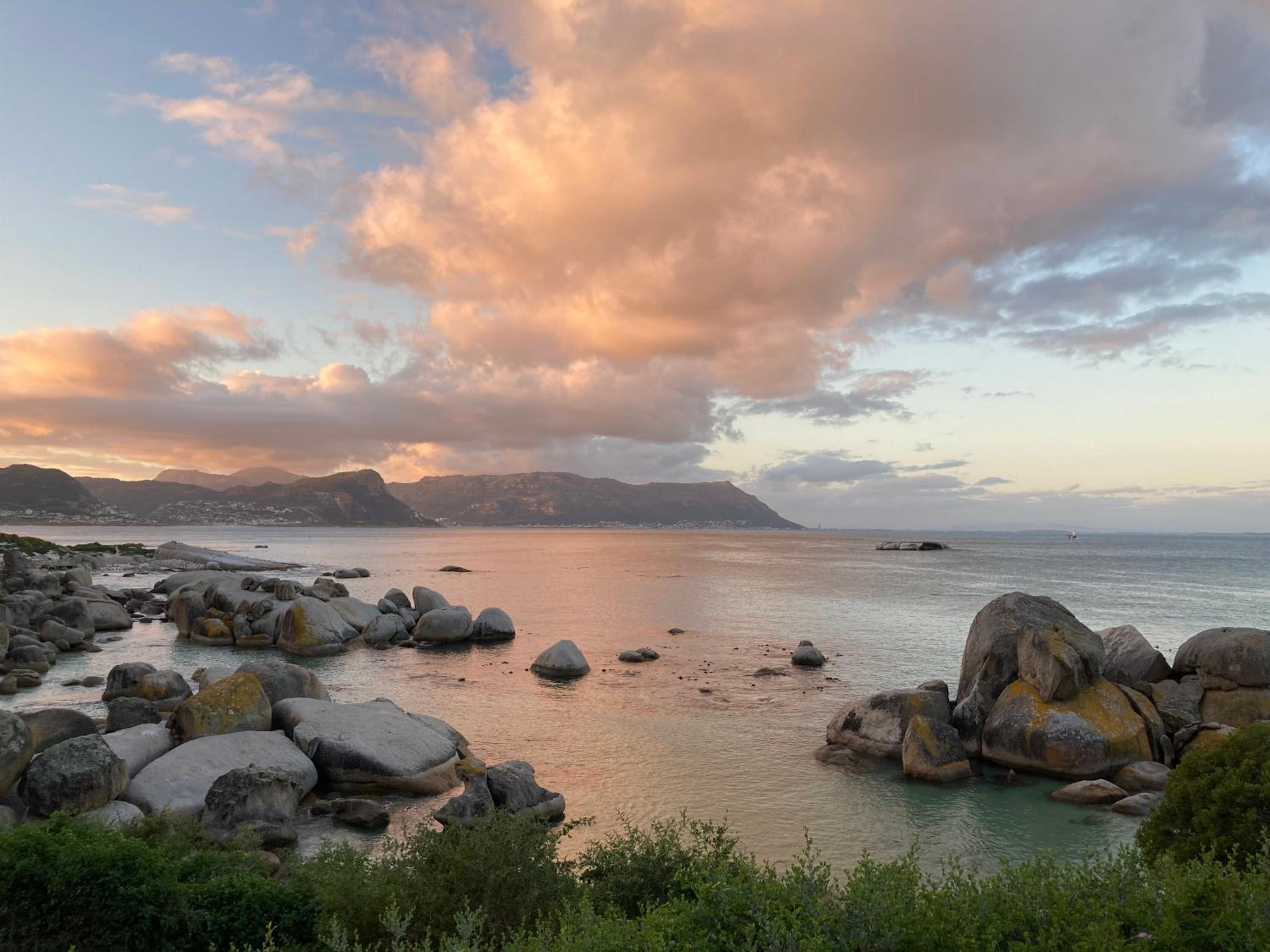 Bosky Dell on Boulders Beach view 3