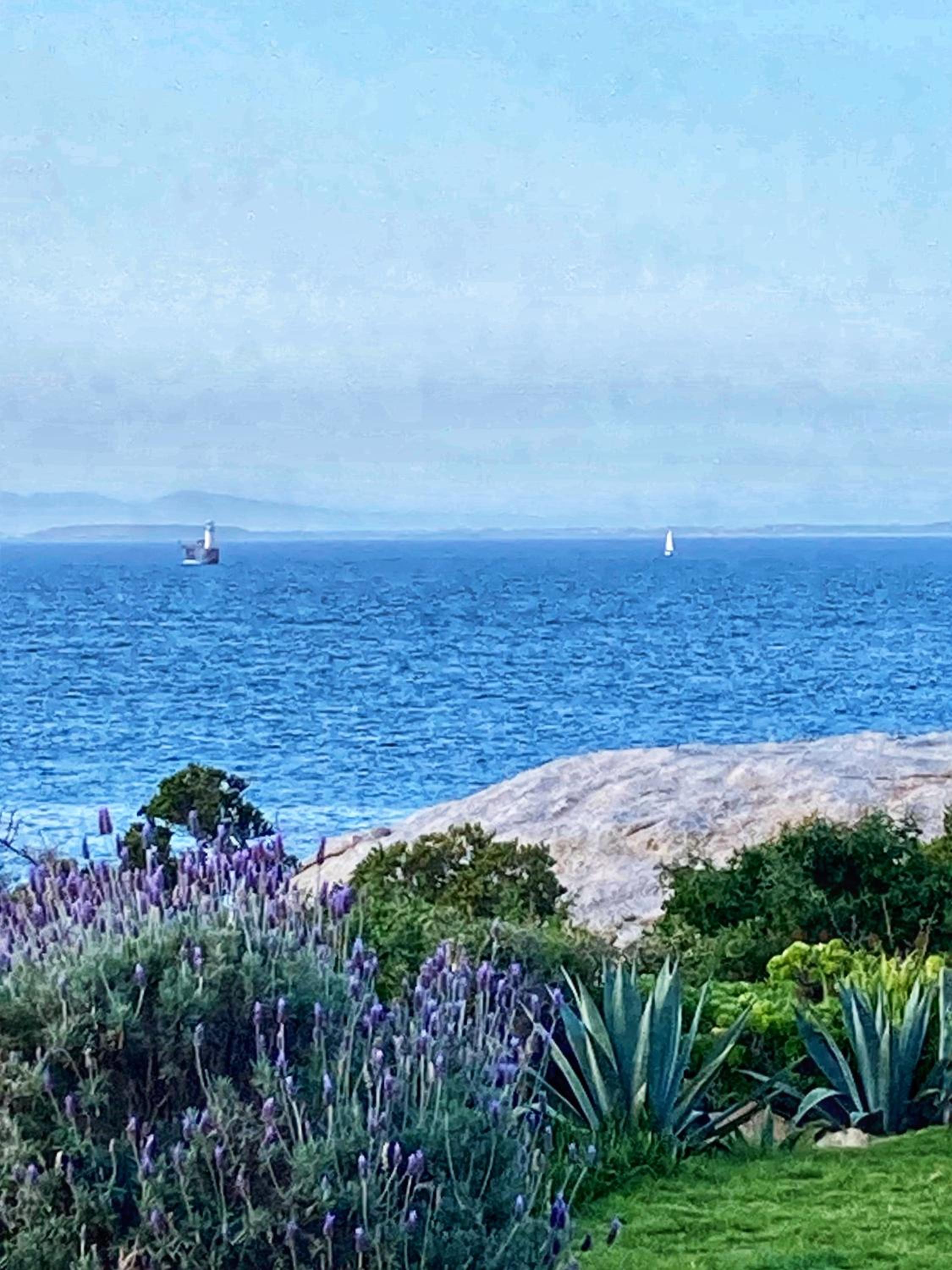 Bosky Dell on Boulders Beach view 2