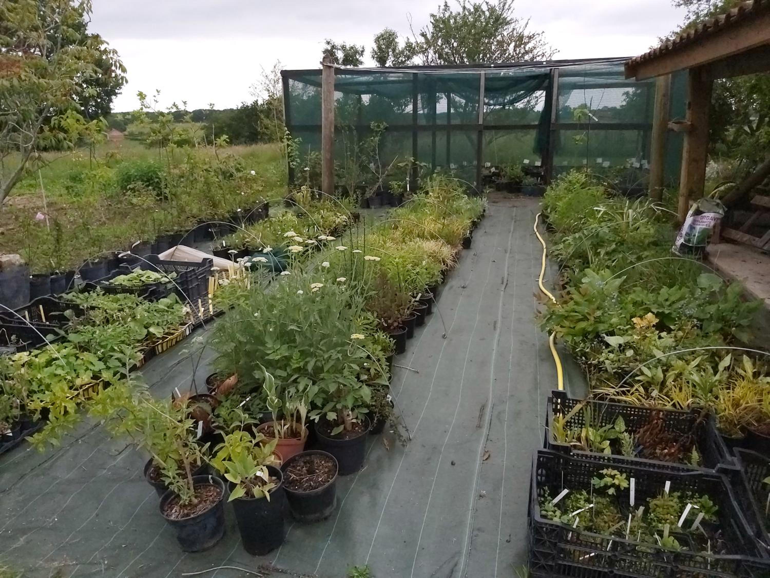 Gite du jardin du Bout du Ciel