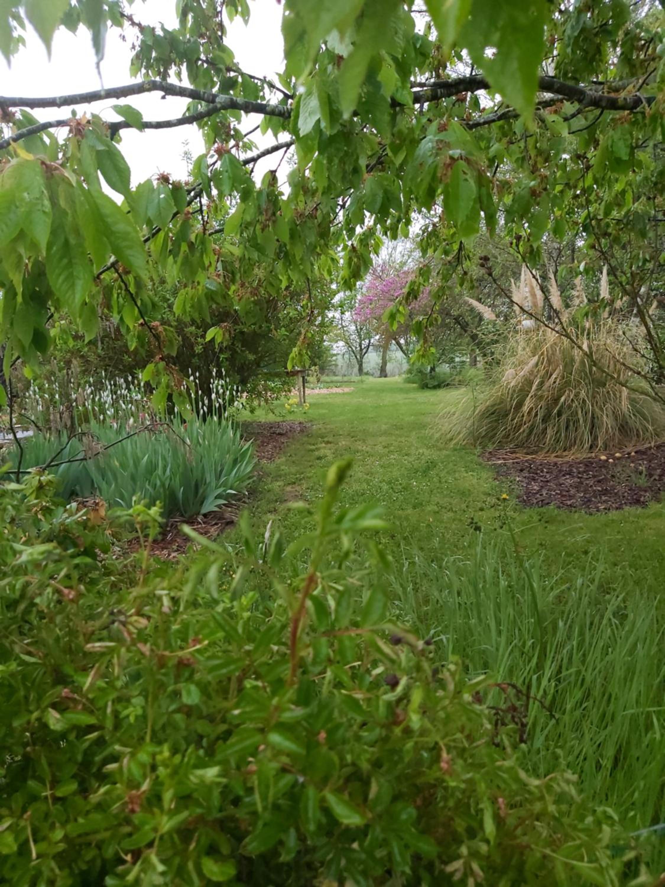 Photo 18