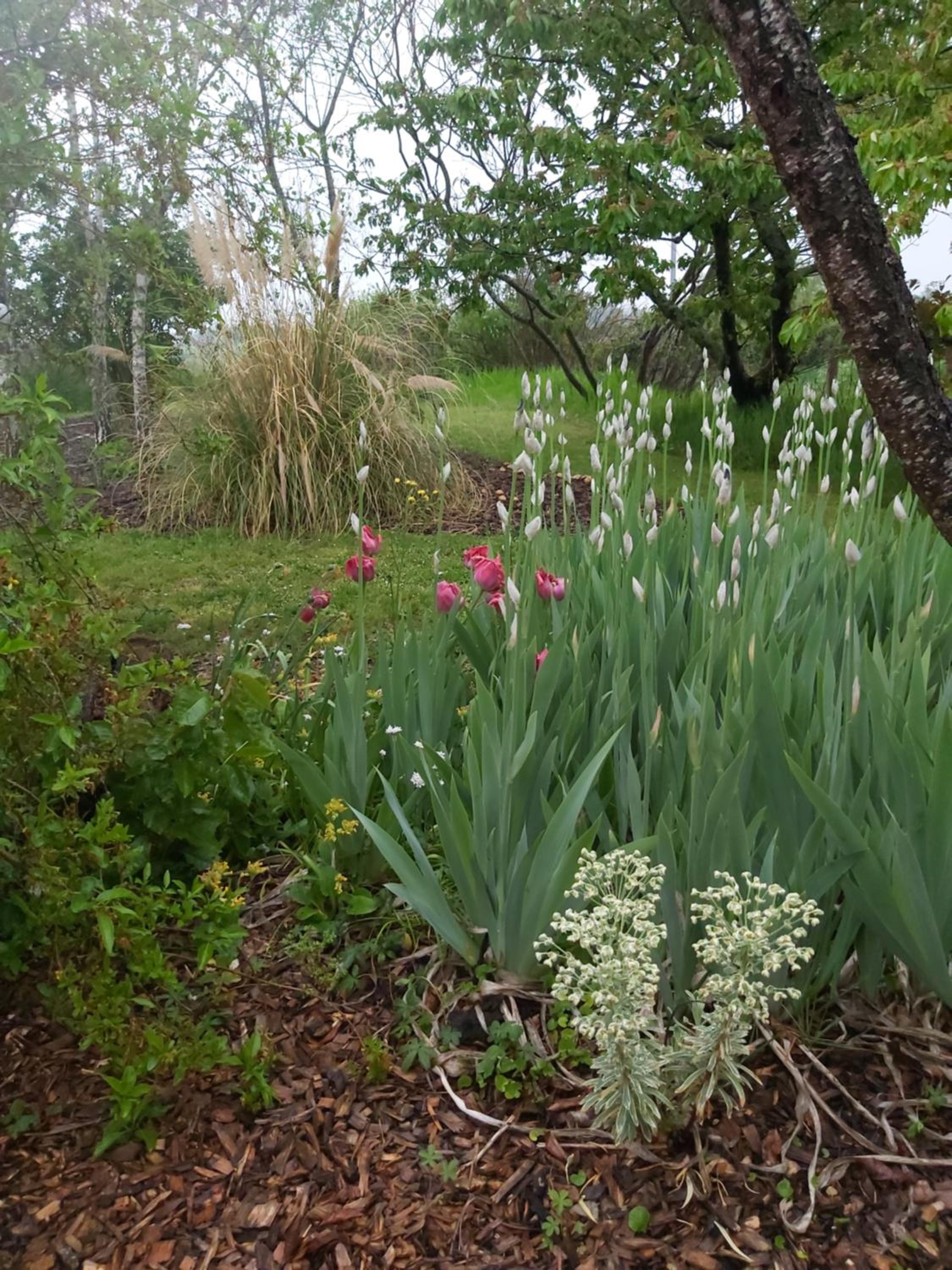 Photo 4