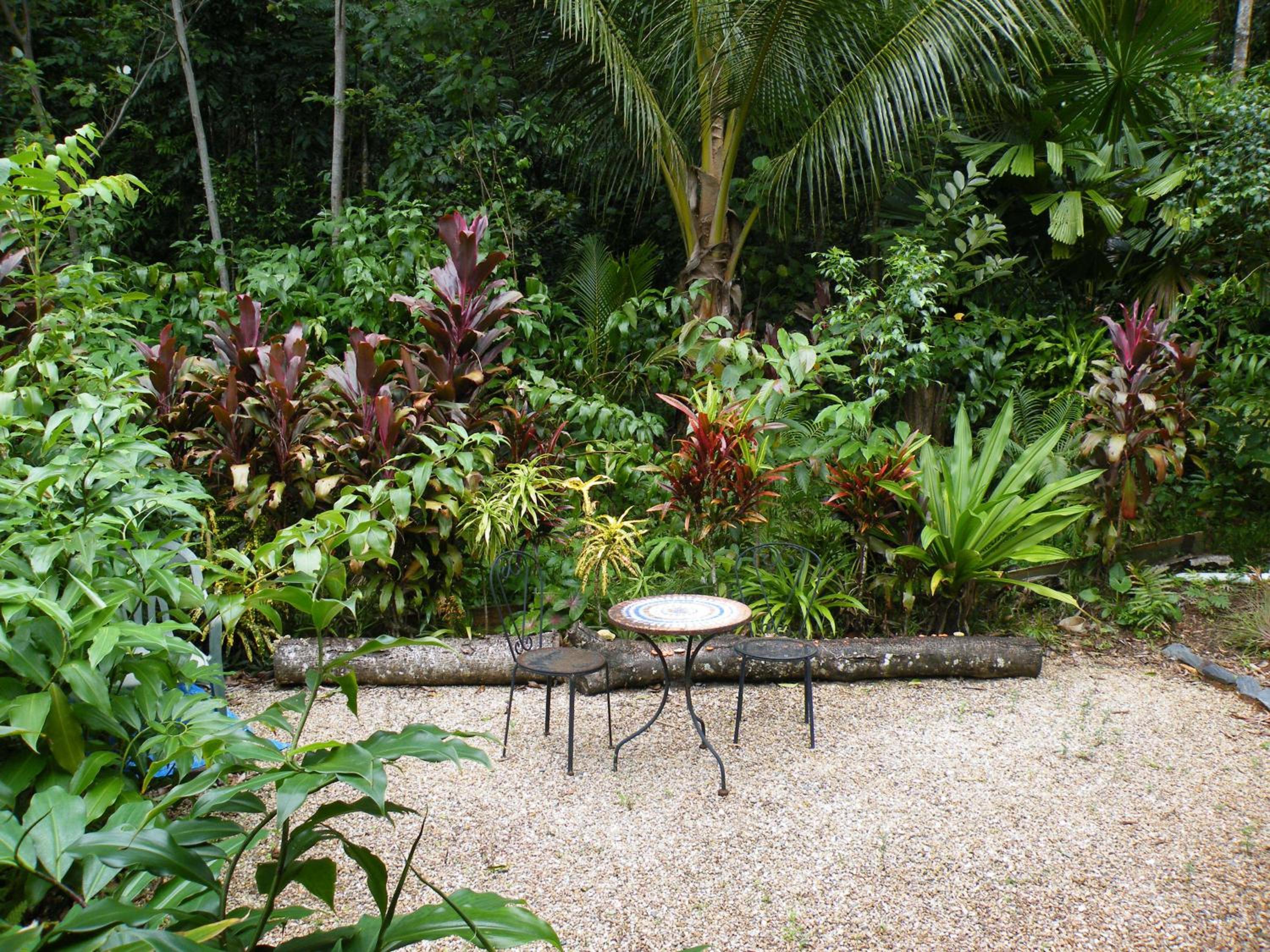 Epiphyte B & B