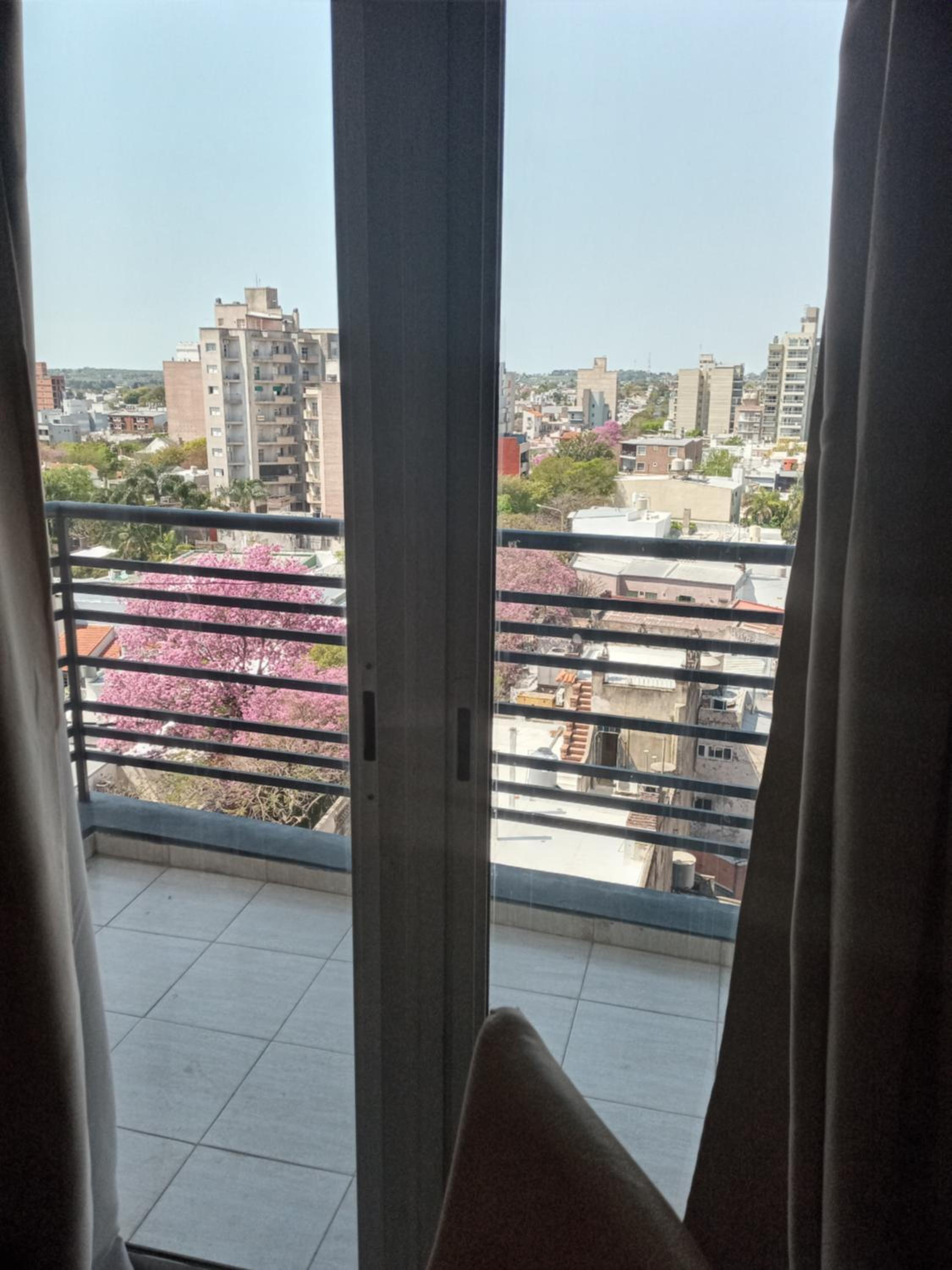 Nuez de la Isla 