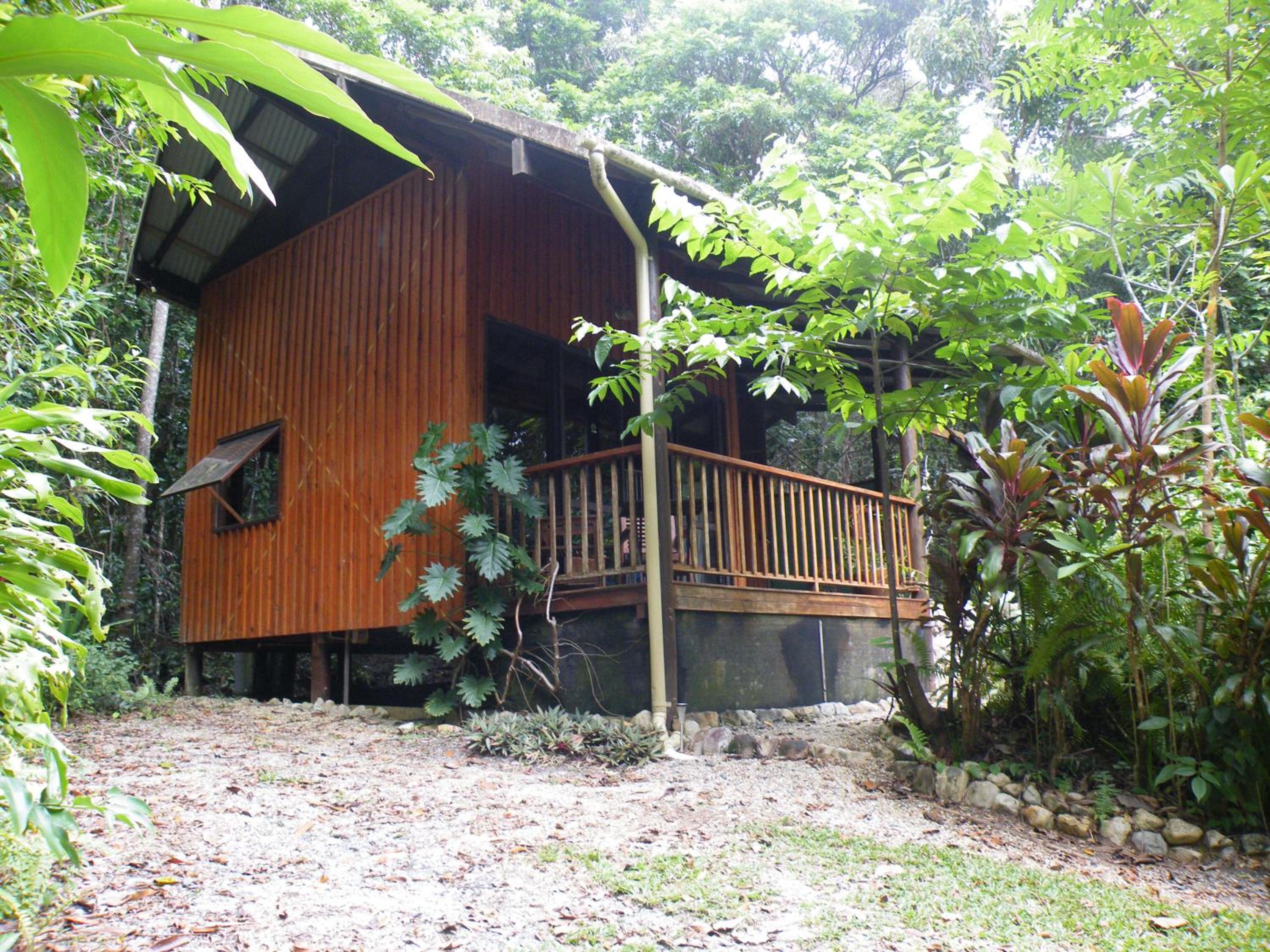 Epiphyte B & B