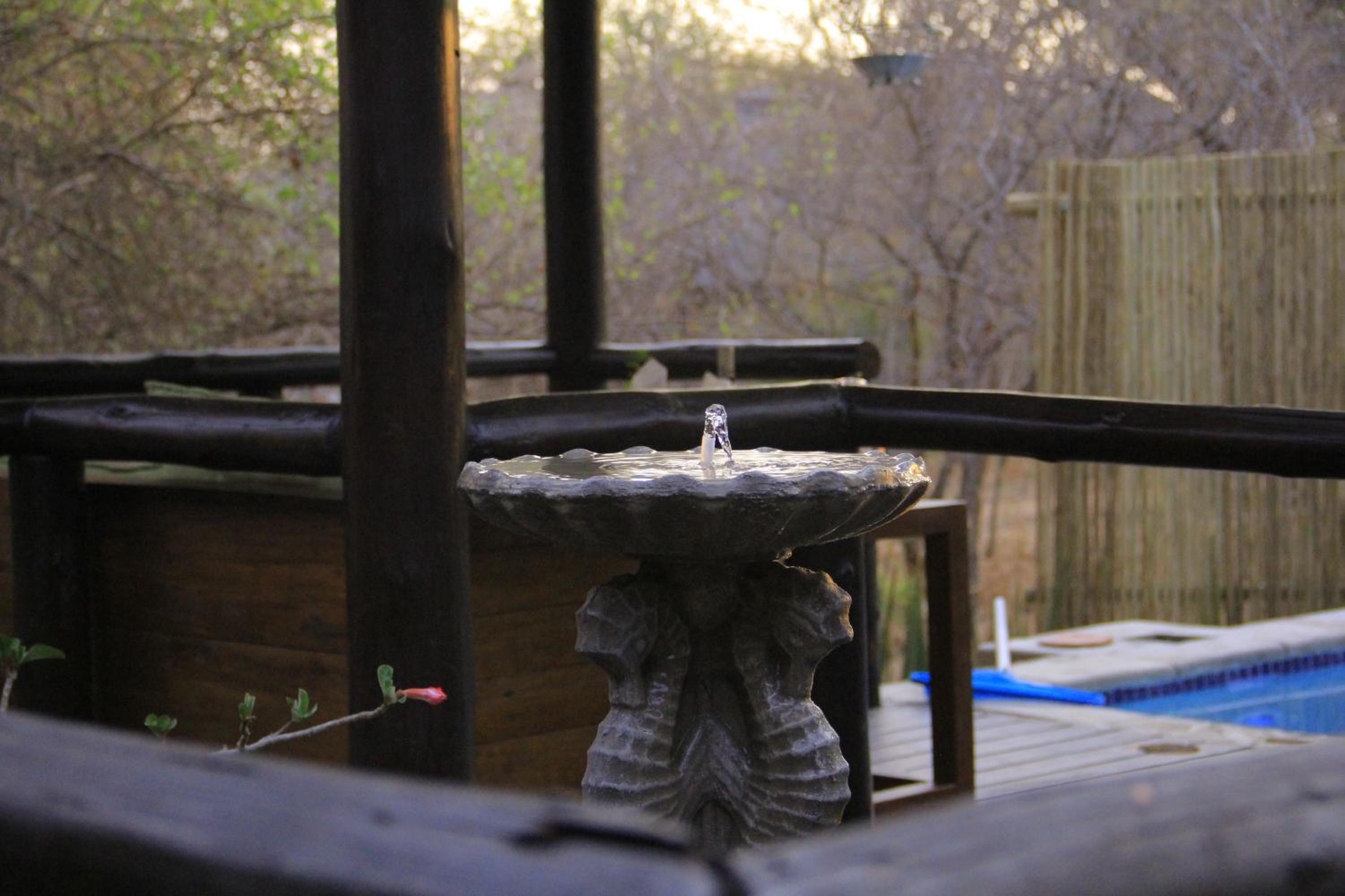 Hoedspruit Raptors Lodge N16