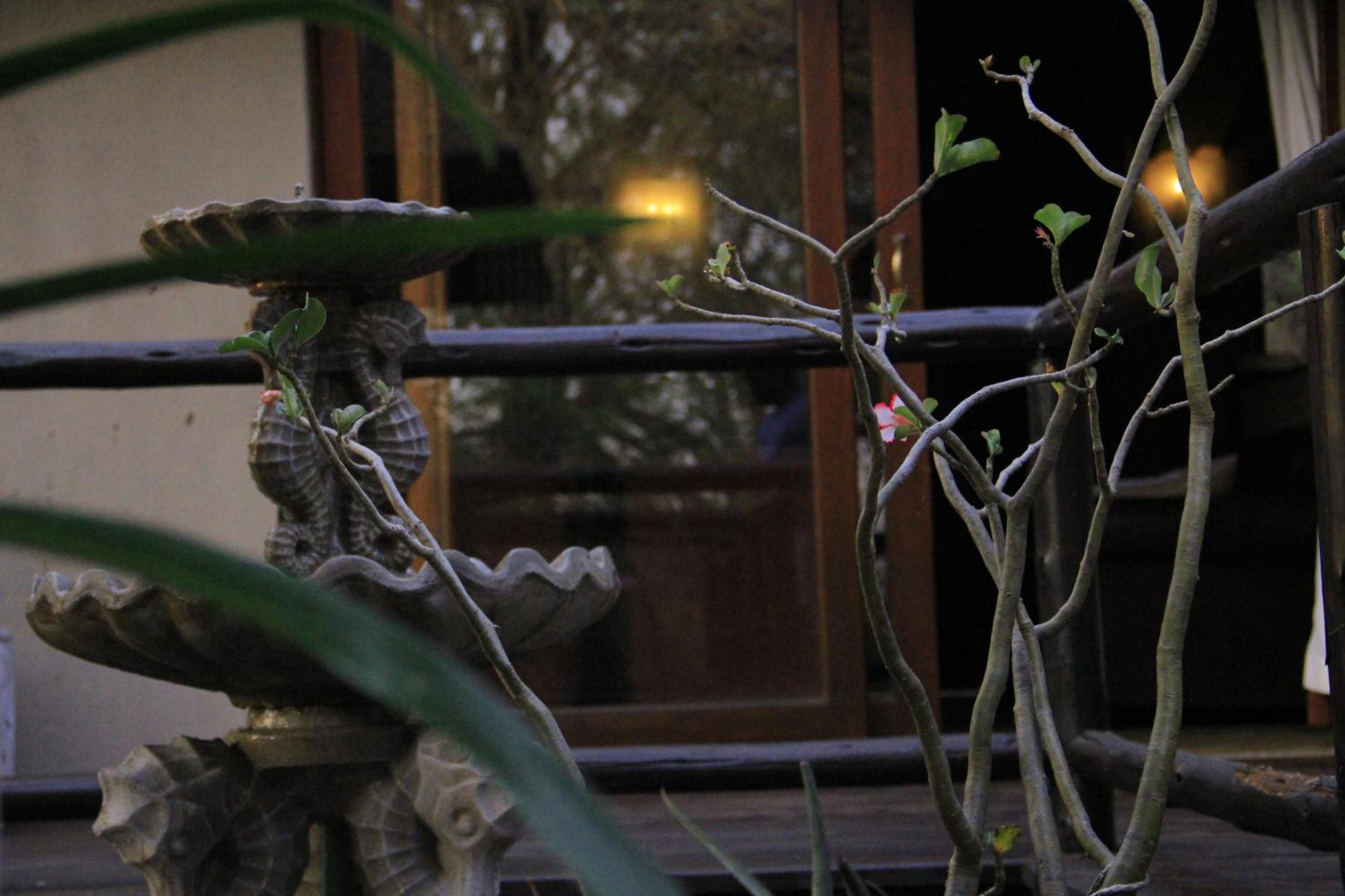 Hoedspruit Raptors Lodge N16