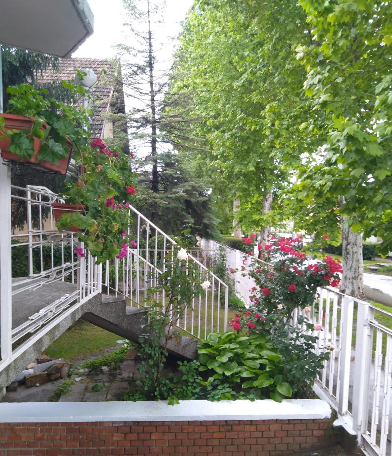 Photo 28