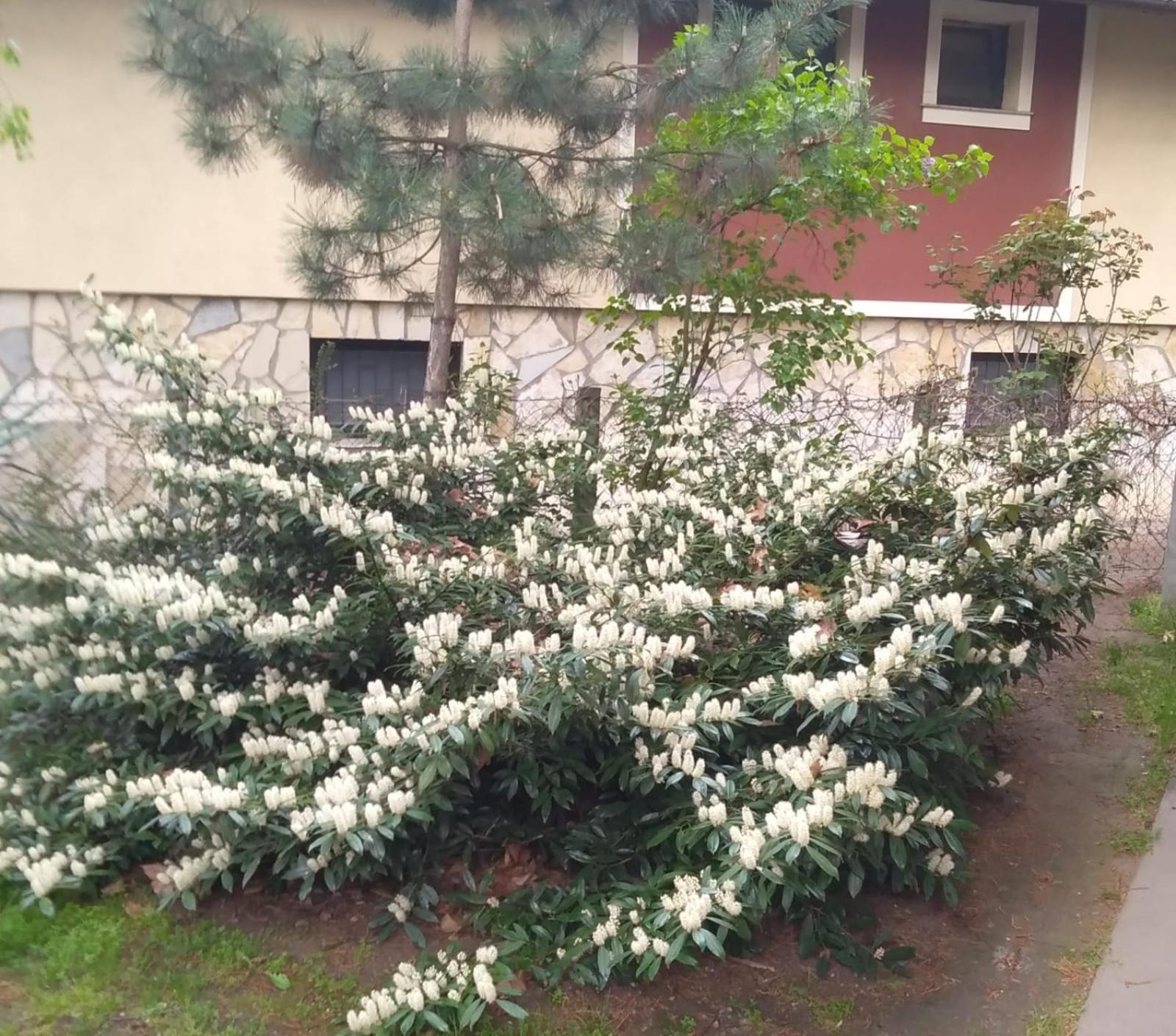 Photo 29