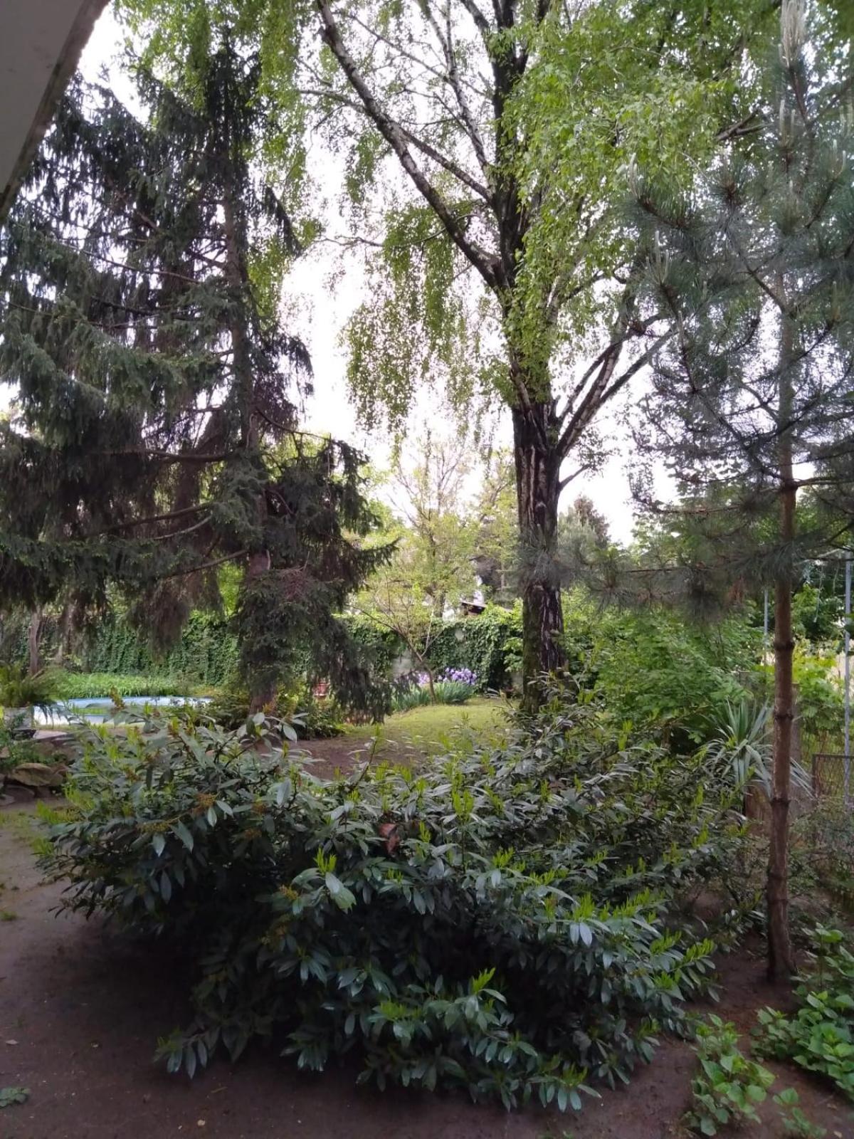 Photo 30