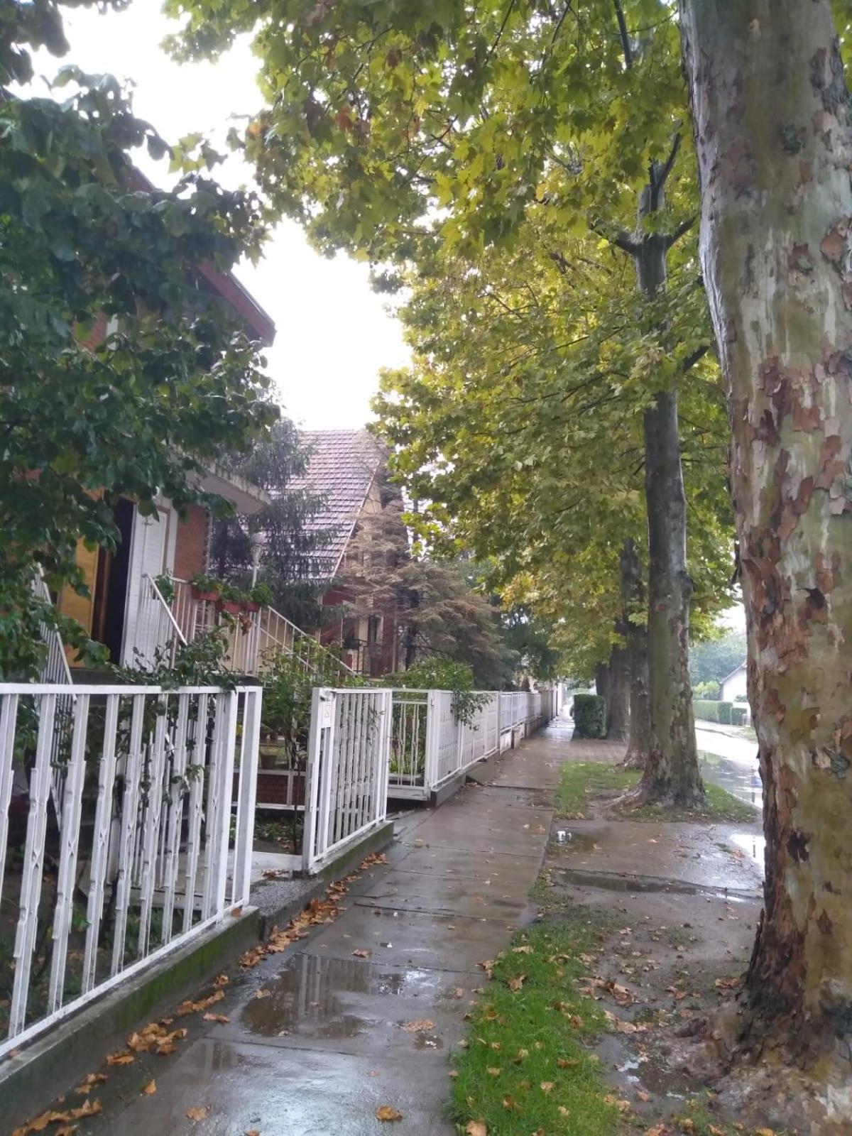 Photo 31
