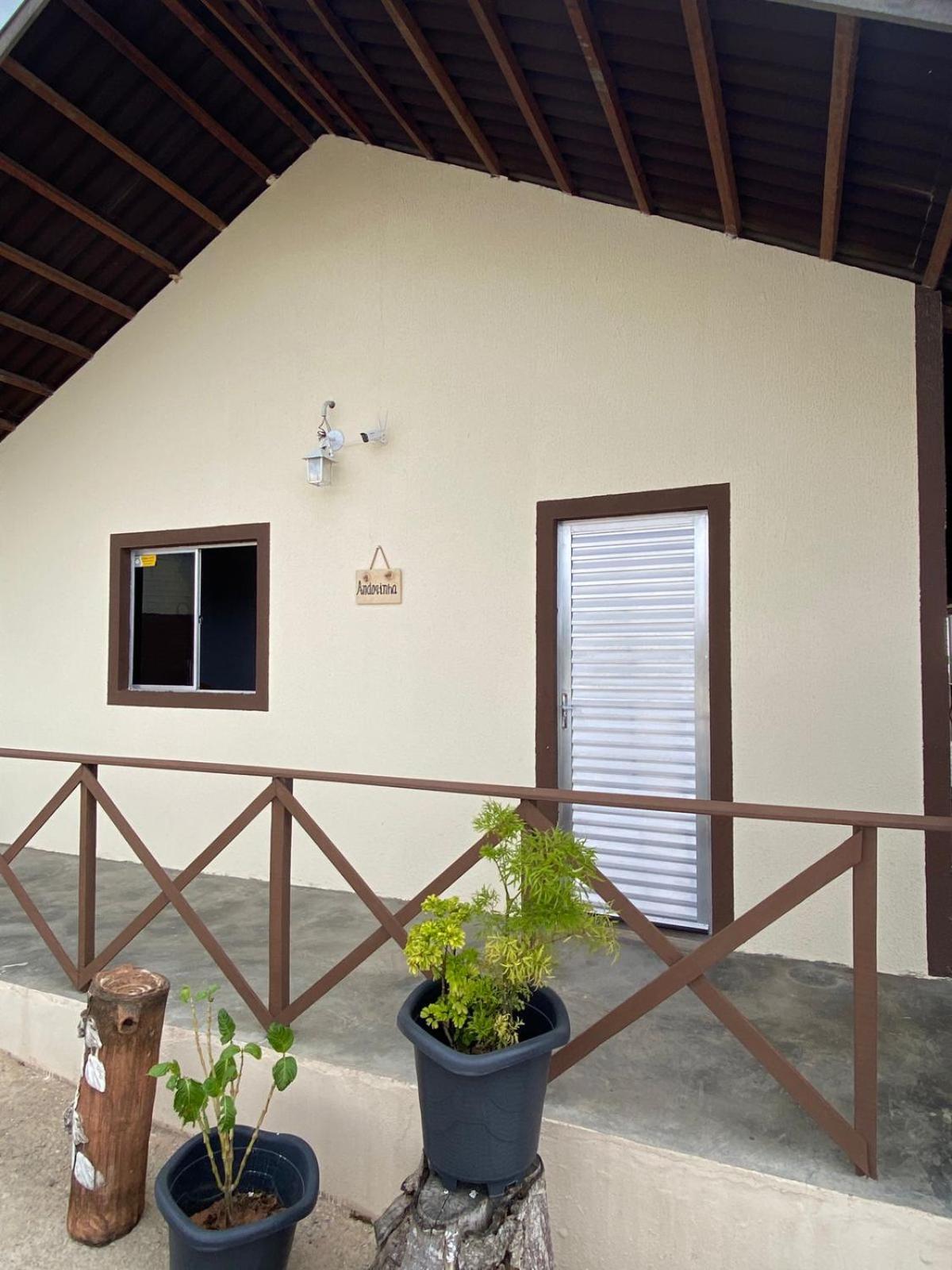 Encanto dos Pássaros