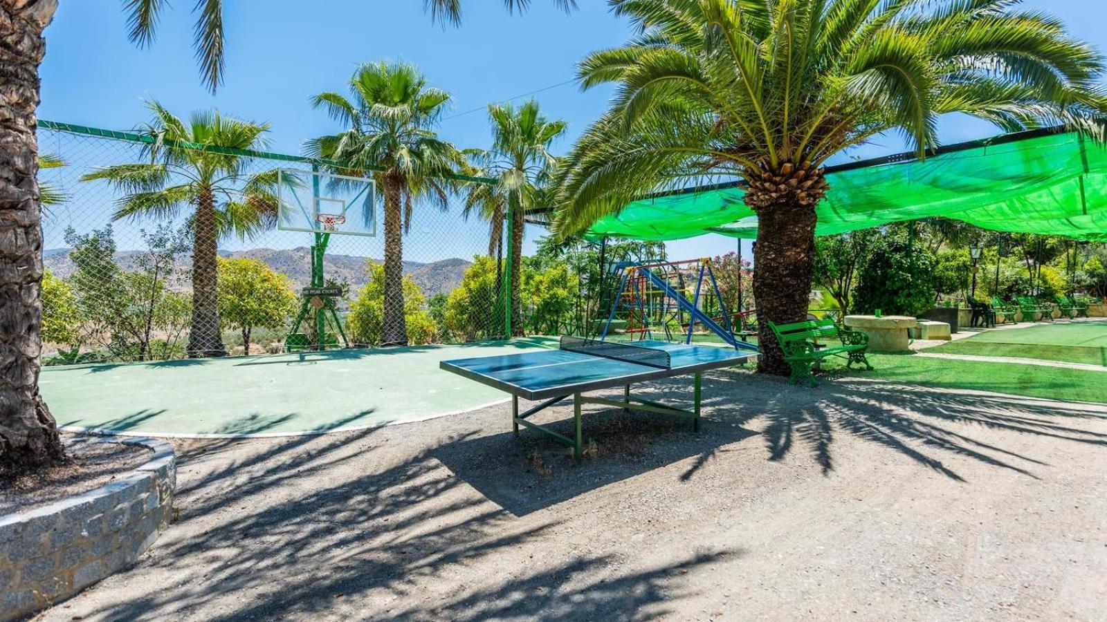 activities & amenities