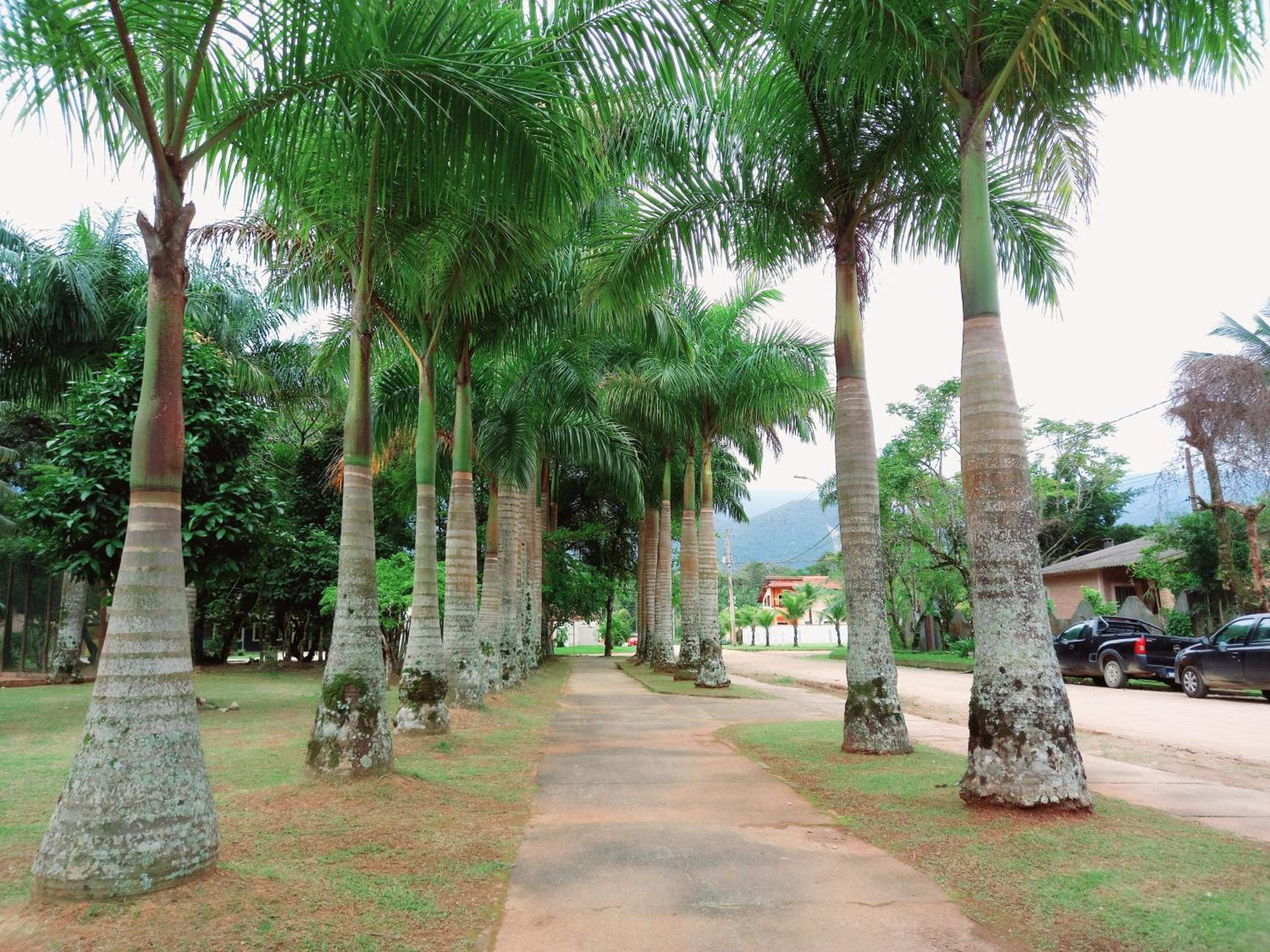 Casa de praia condominio mar verde