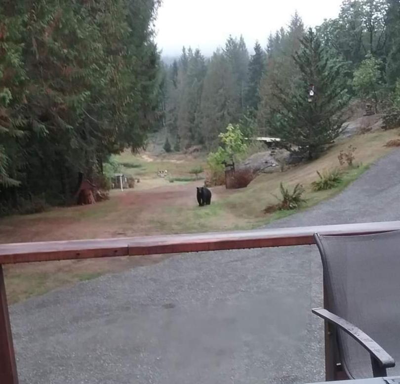 Beaver Hut Bed And Breakfast