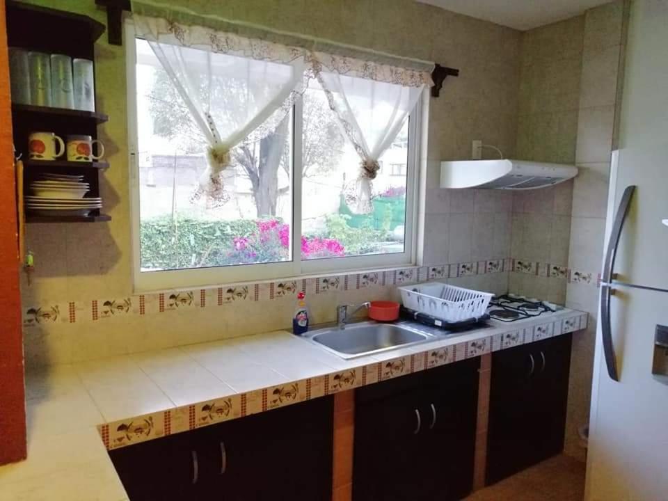 Hermoso depa de 3 recamaras y 2 baños en el centro de Coyoacan view 5
