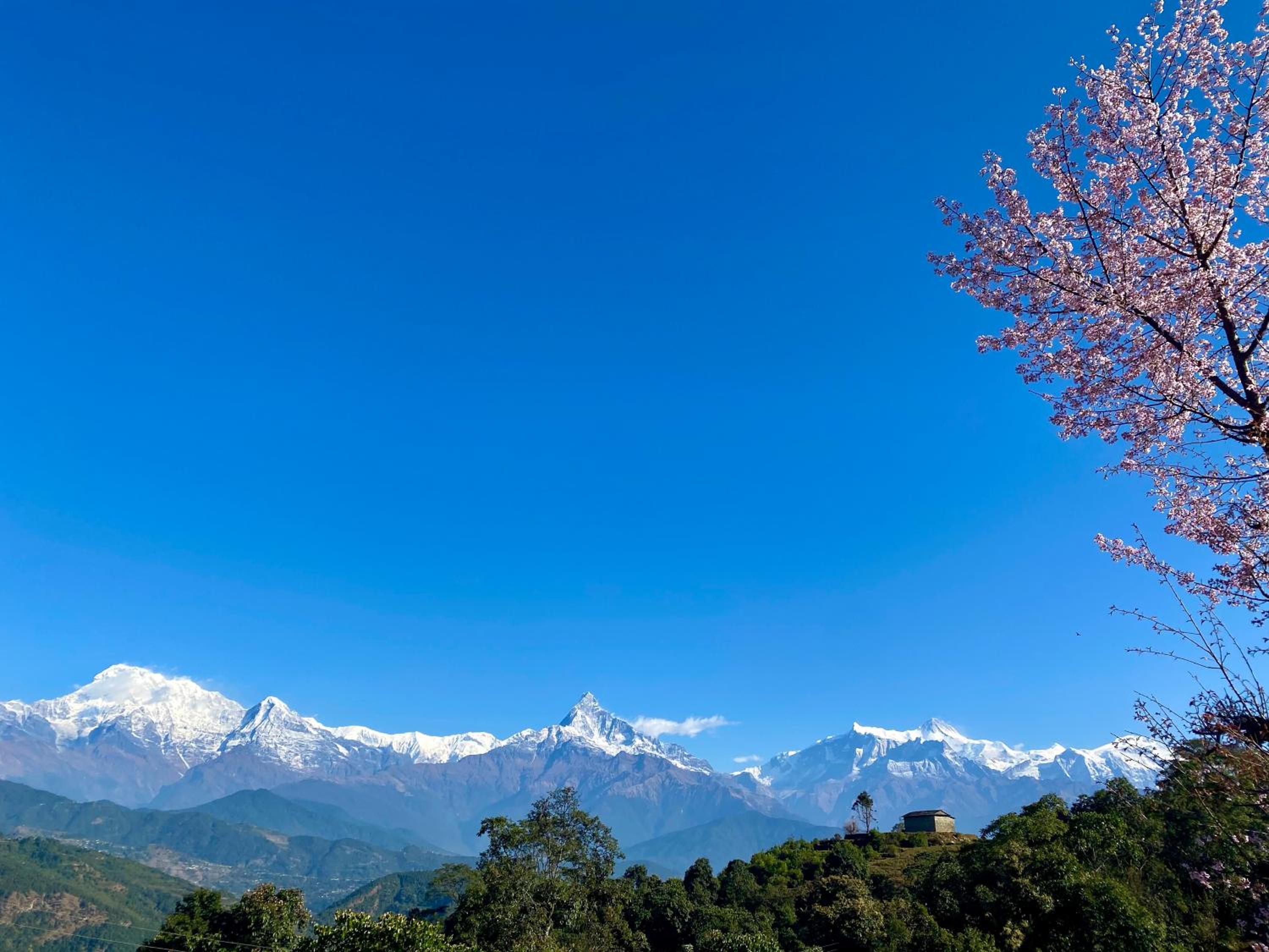 Superview Lodge - Family-Run, Himalayan Sunrise