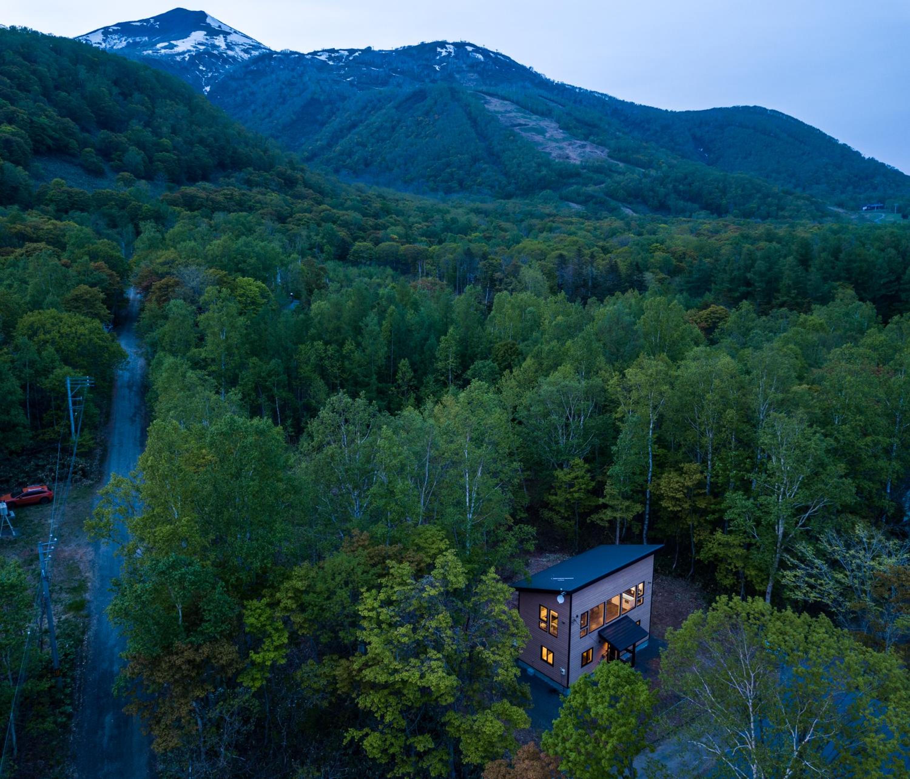 Forest Hideaway