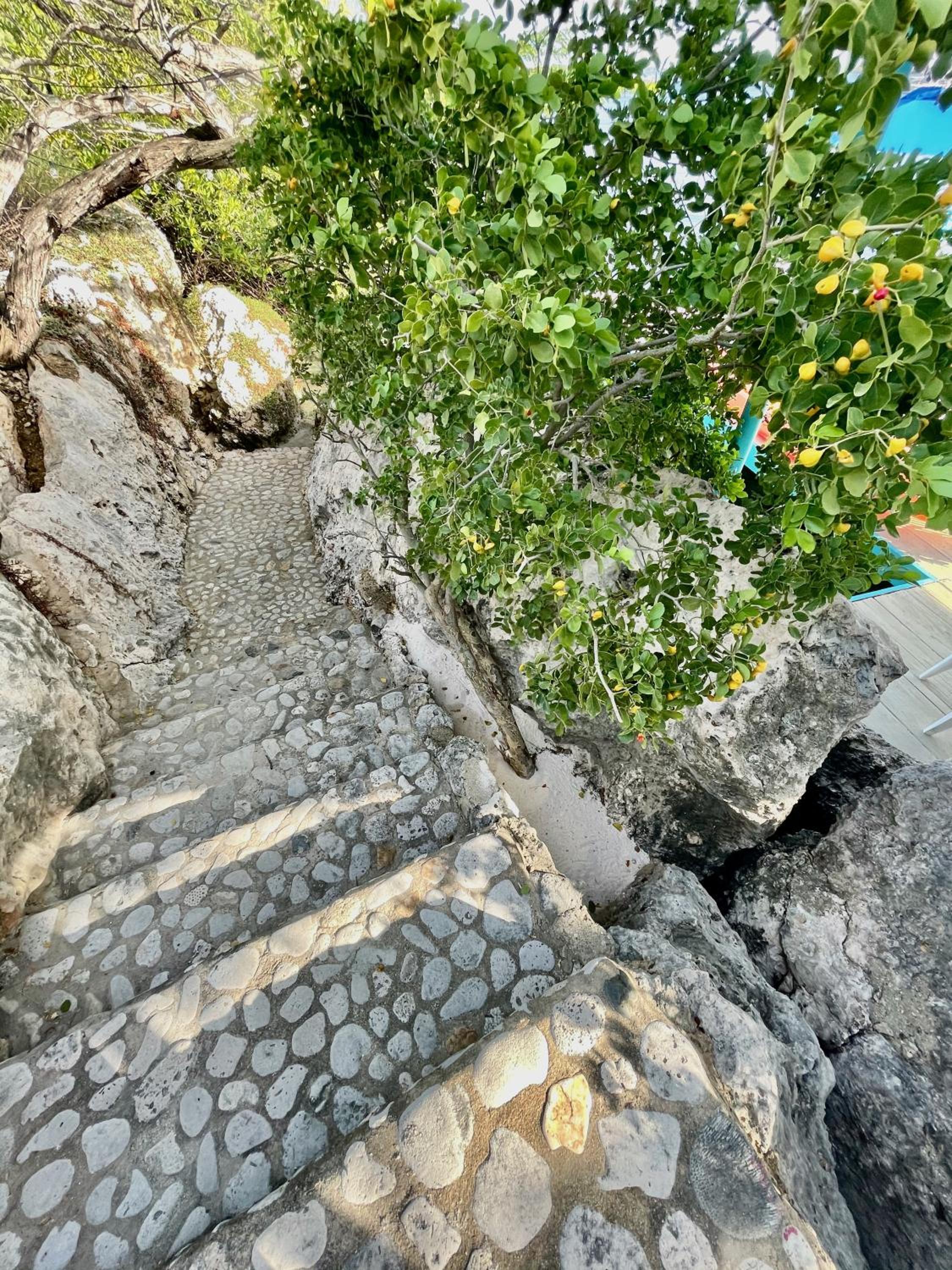 Vistalmar Ocean Suites