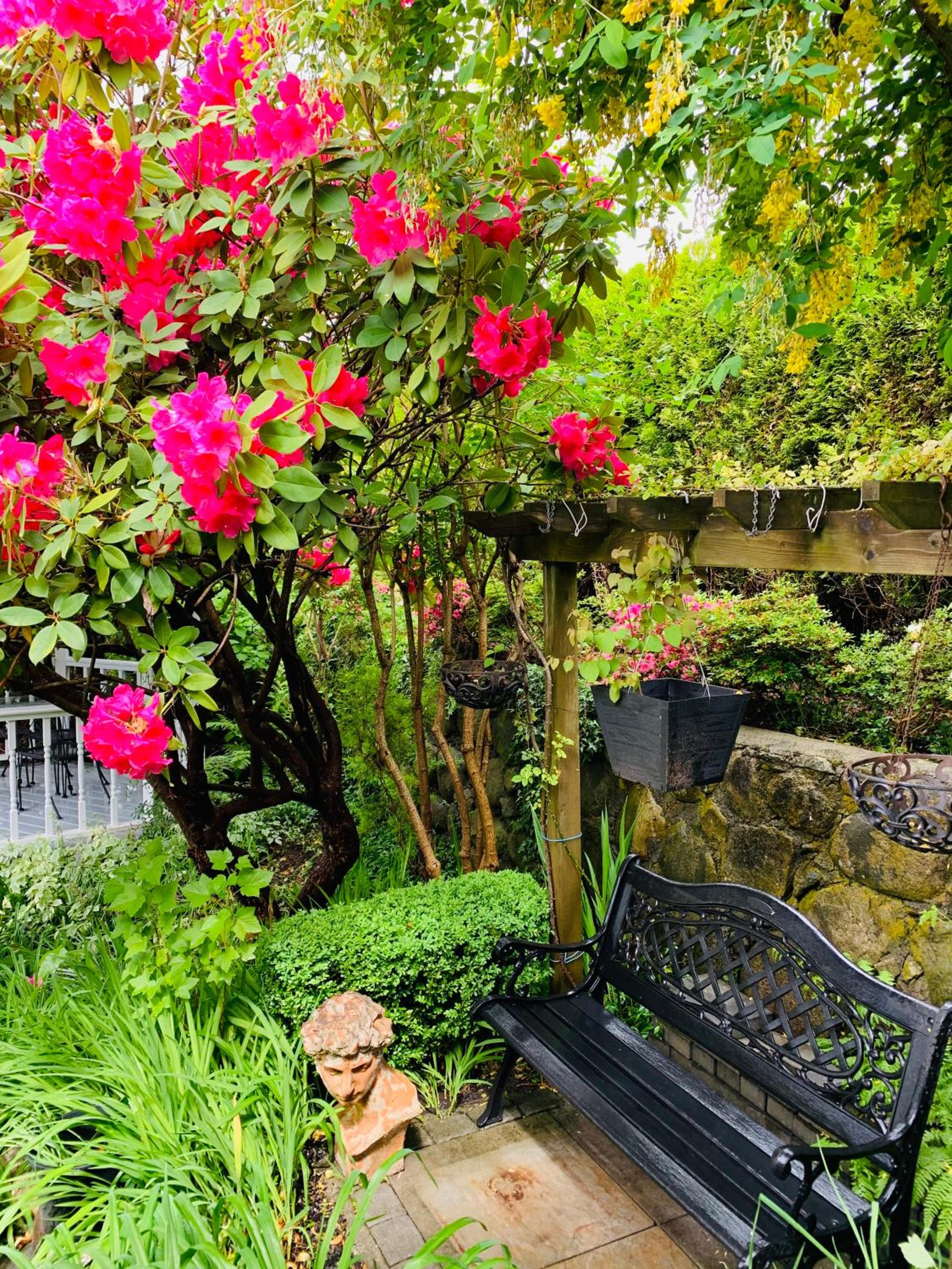 Crystal's View Bed & Breakfast