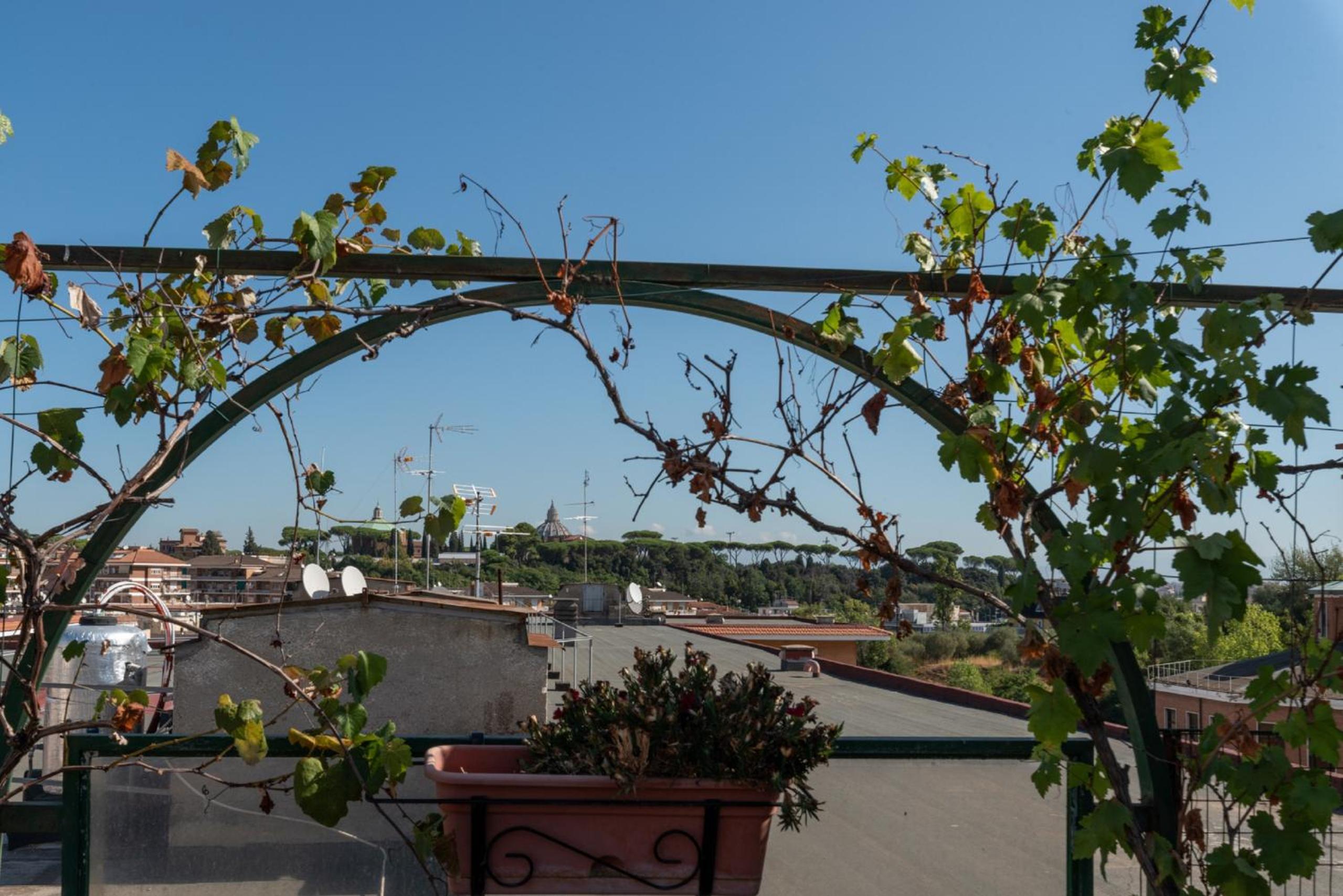 roof