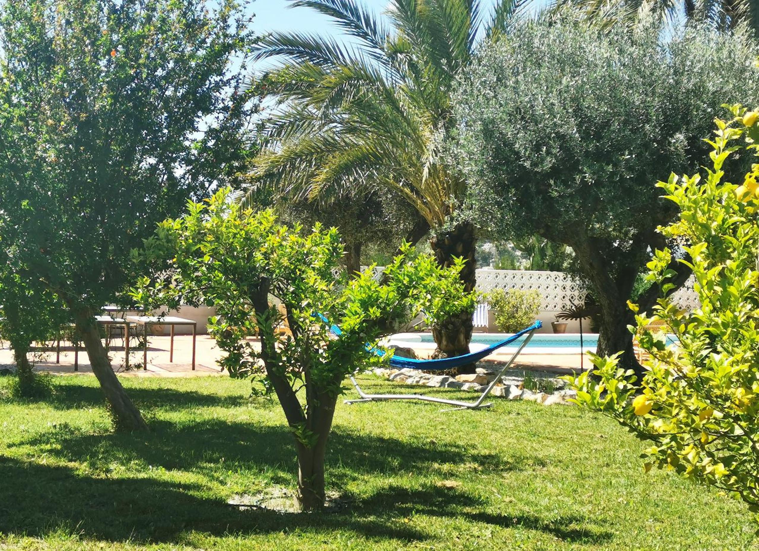 Photo 10