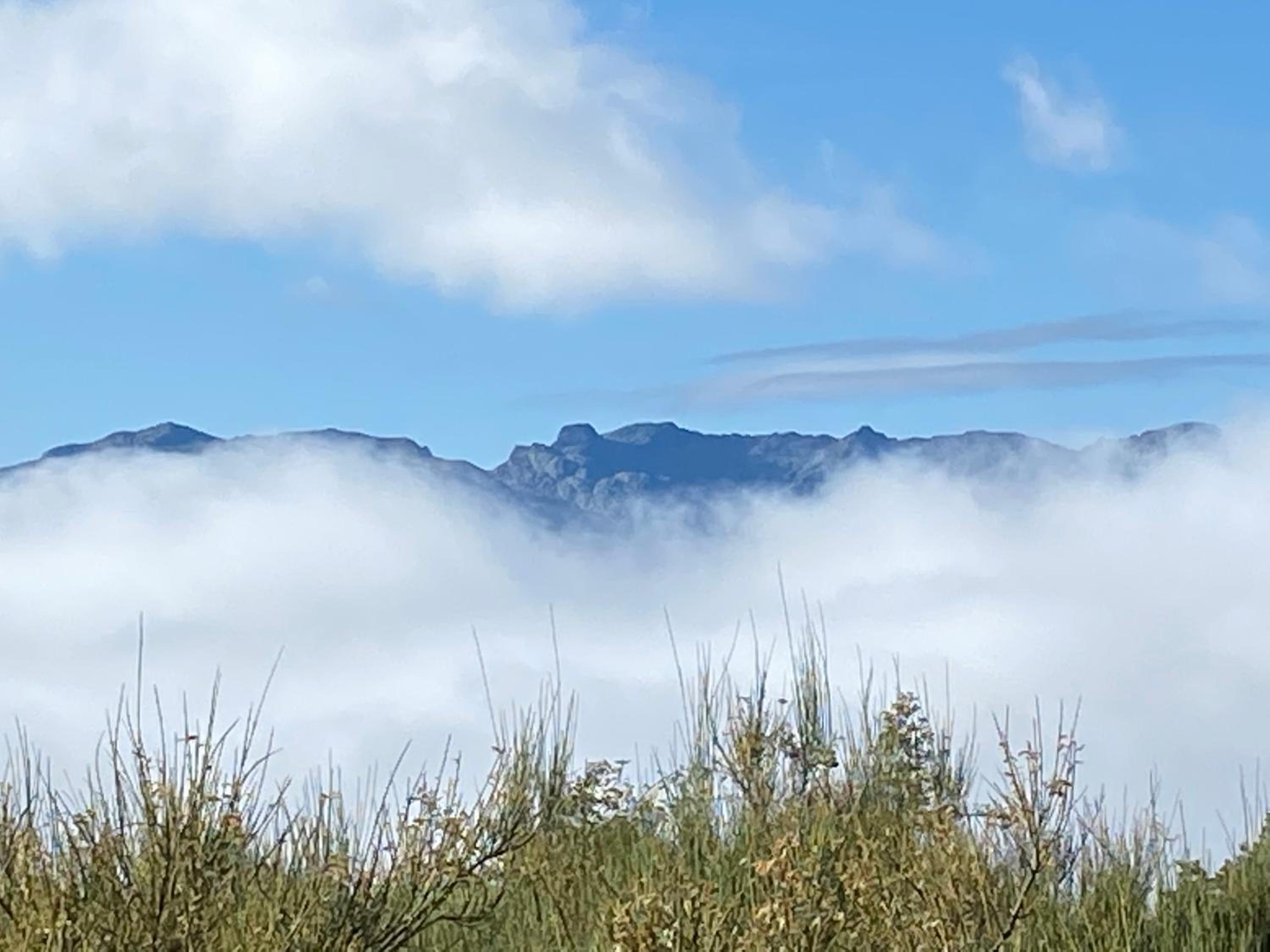 El Pajar de Tío Mariano view 4