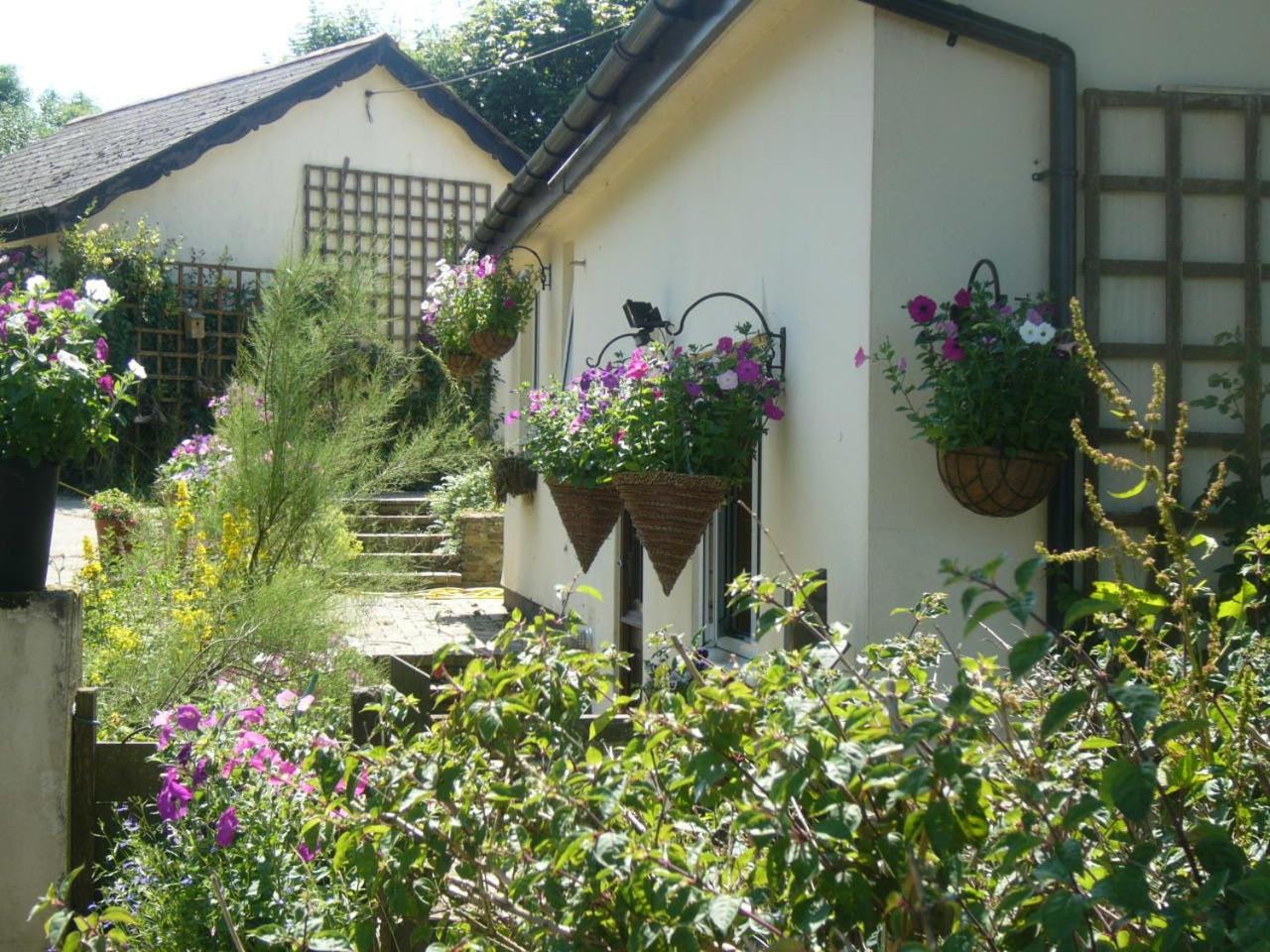 Southdown B&B