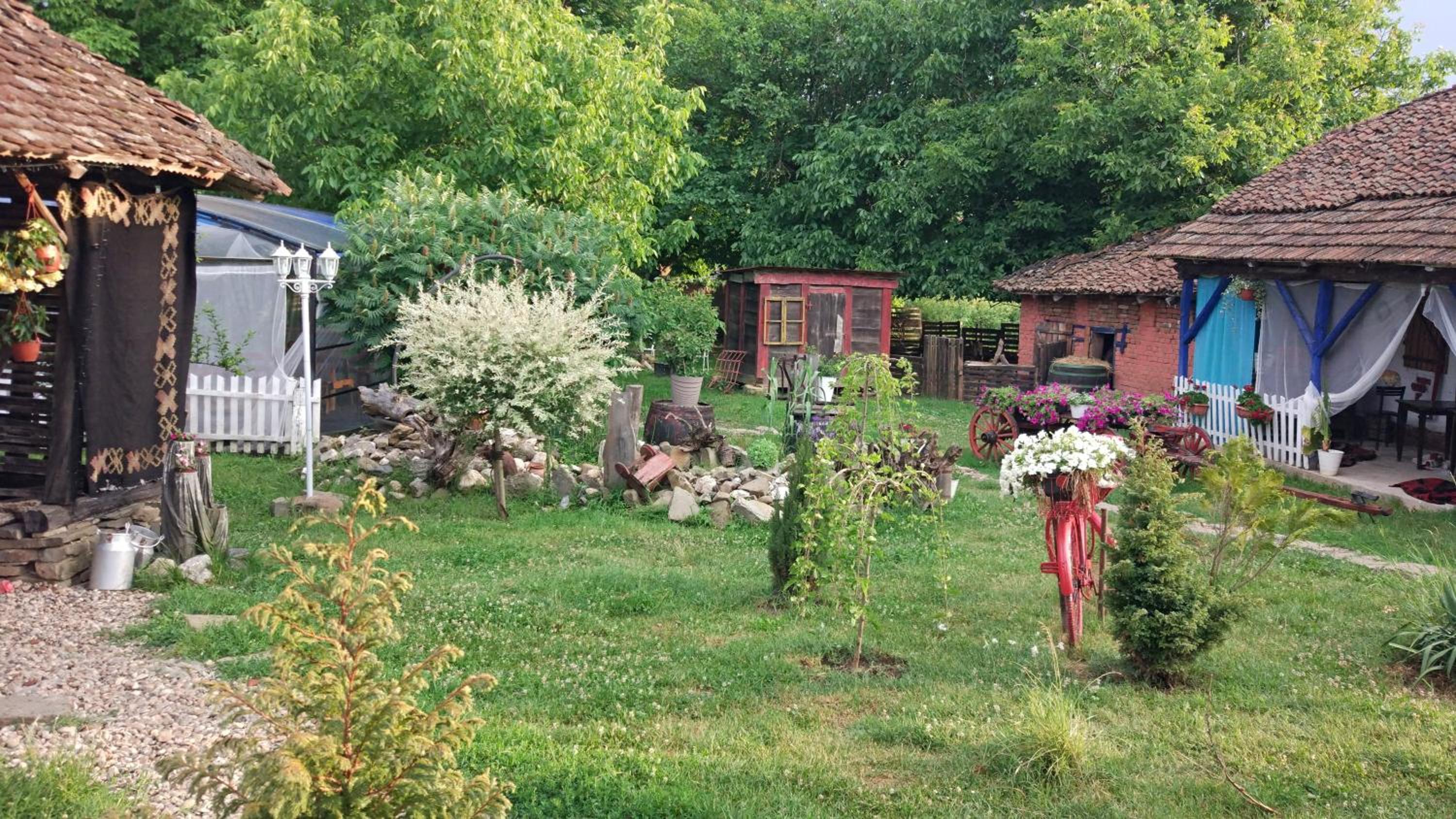 Photo 17