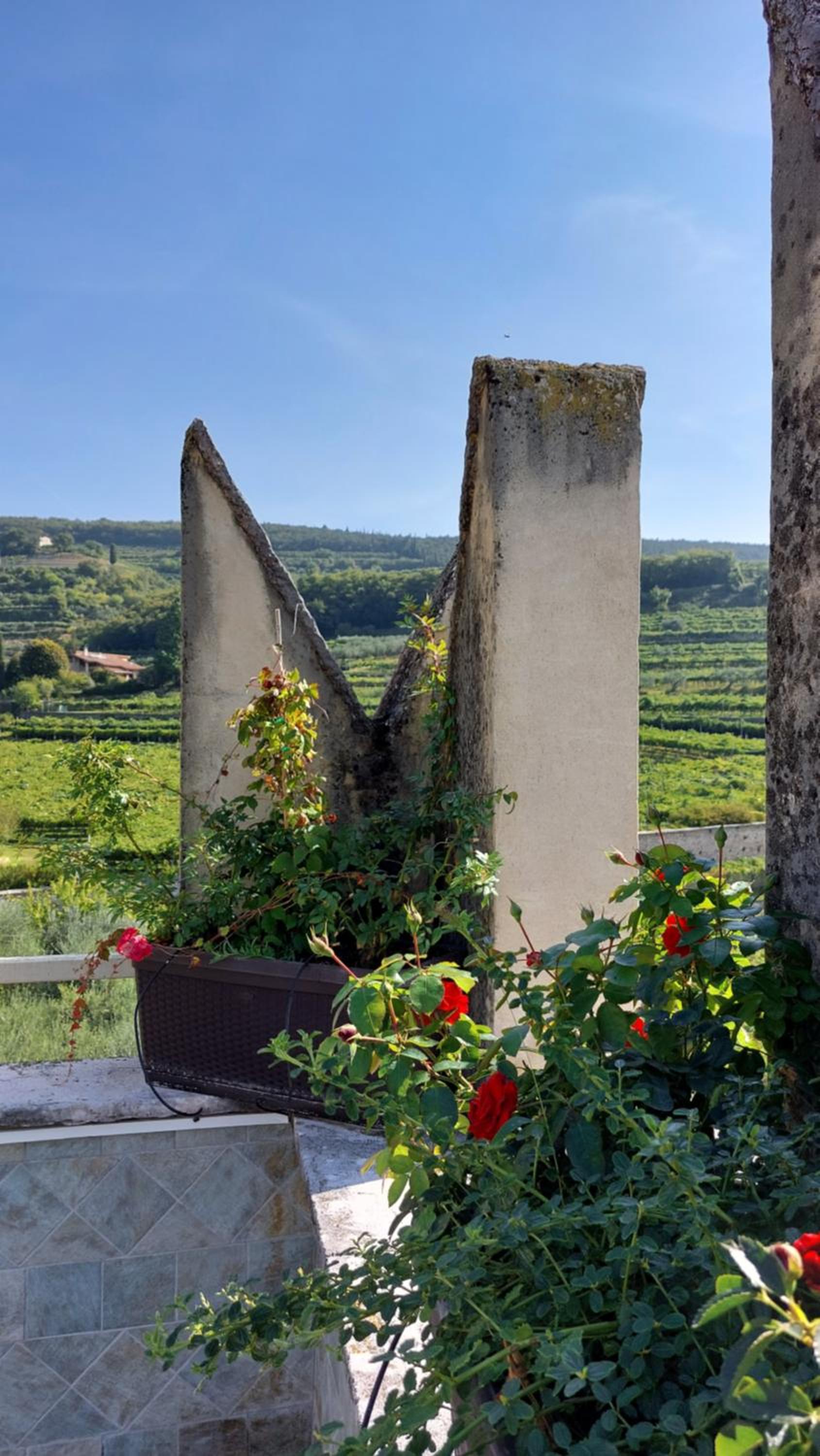 Azienda Agrituristica Corteforte