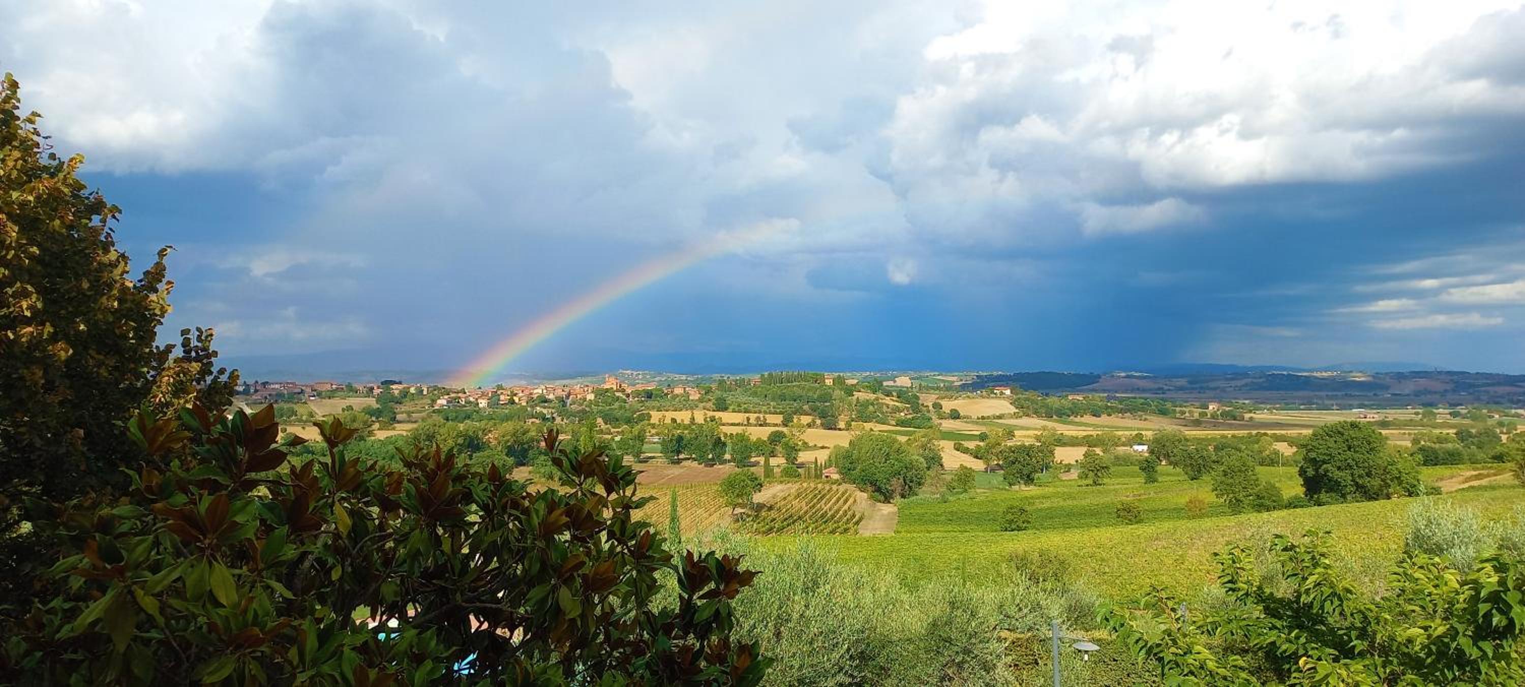 Poggio Olivo