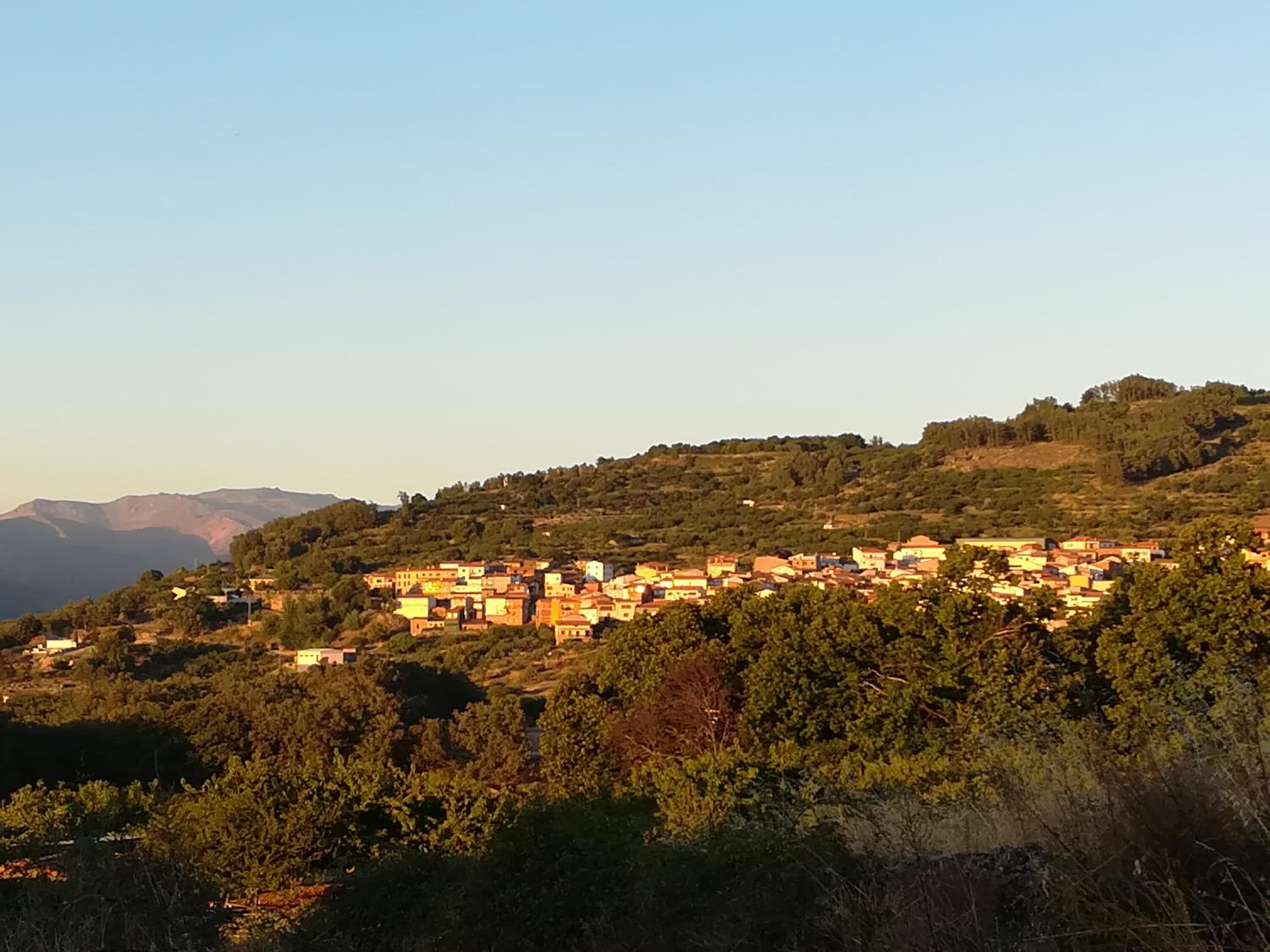 Las Glicinias del Jerte