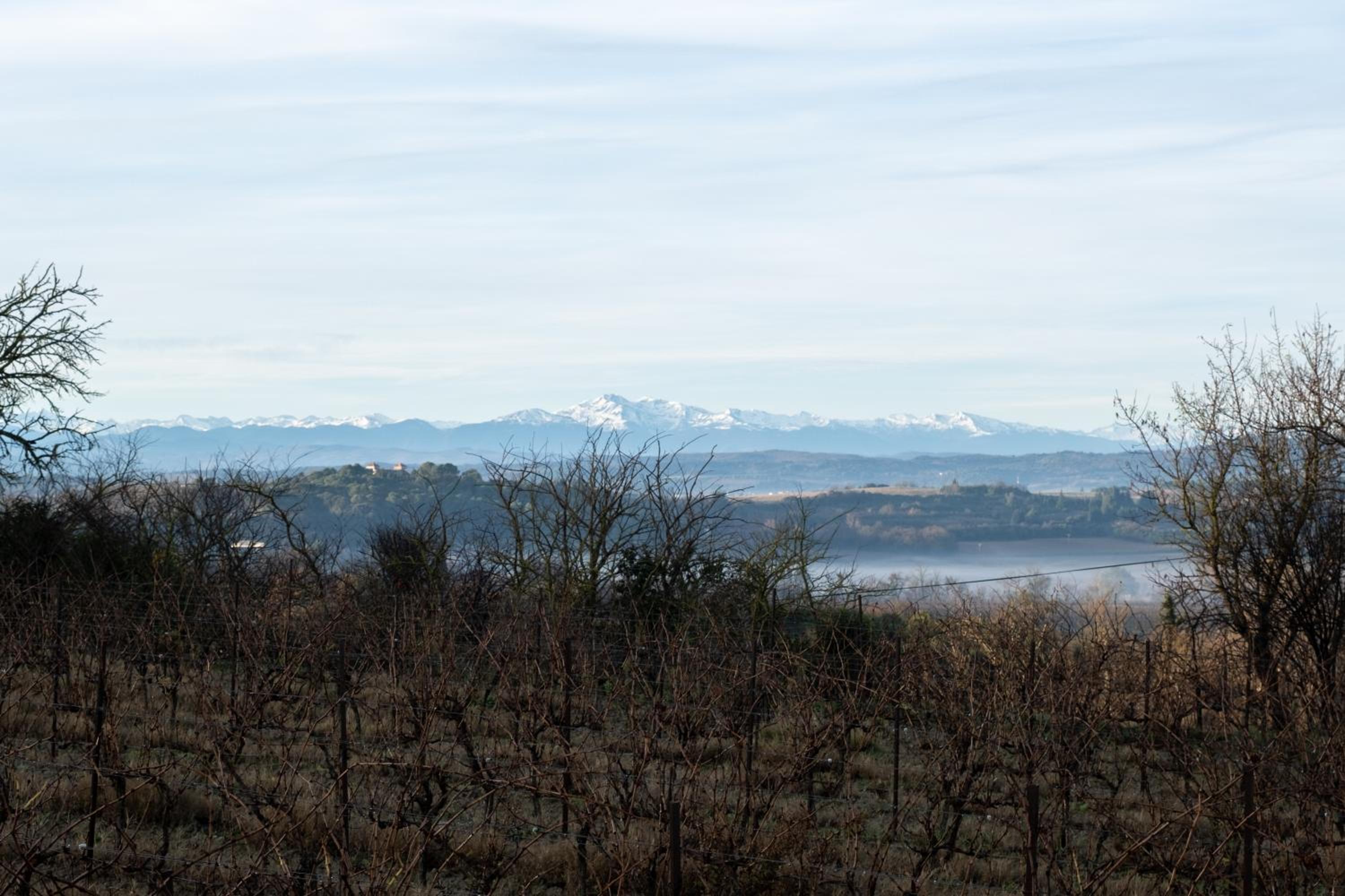 Villa des Cathares
