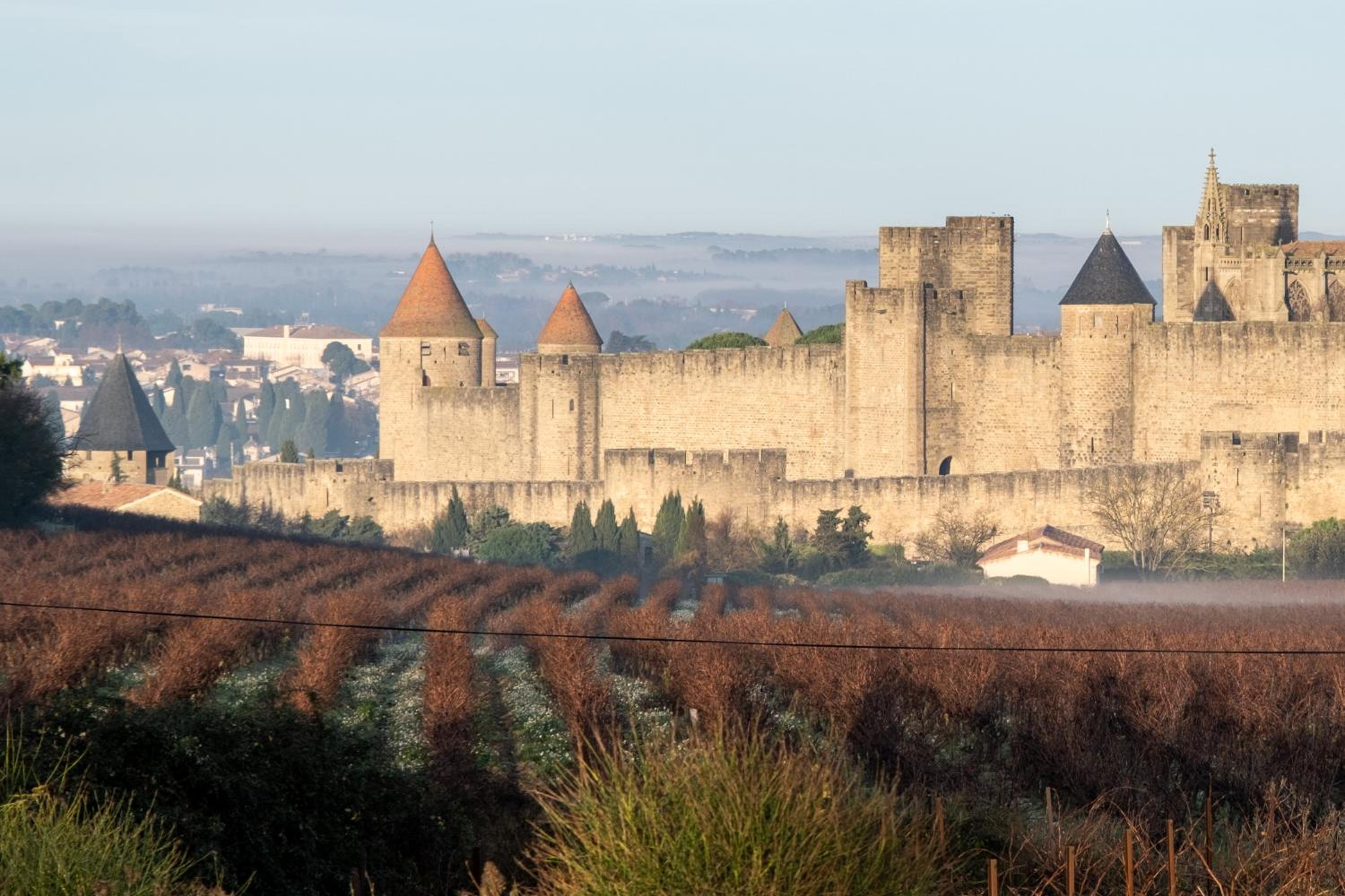 Villa des Cathares