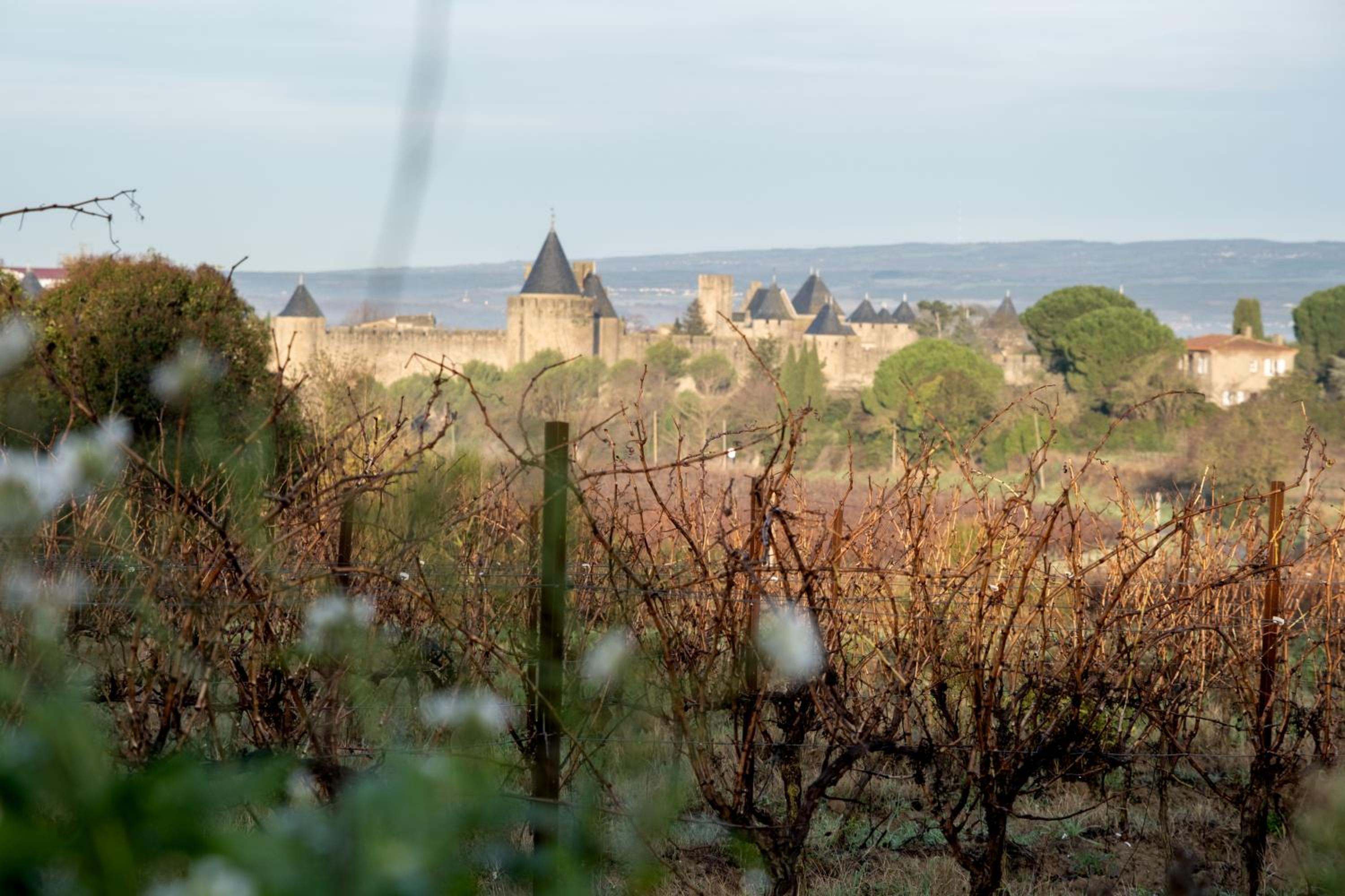 Villa des Cathares
