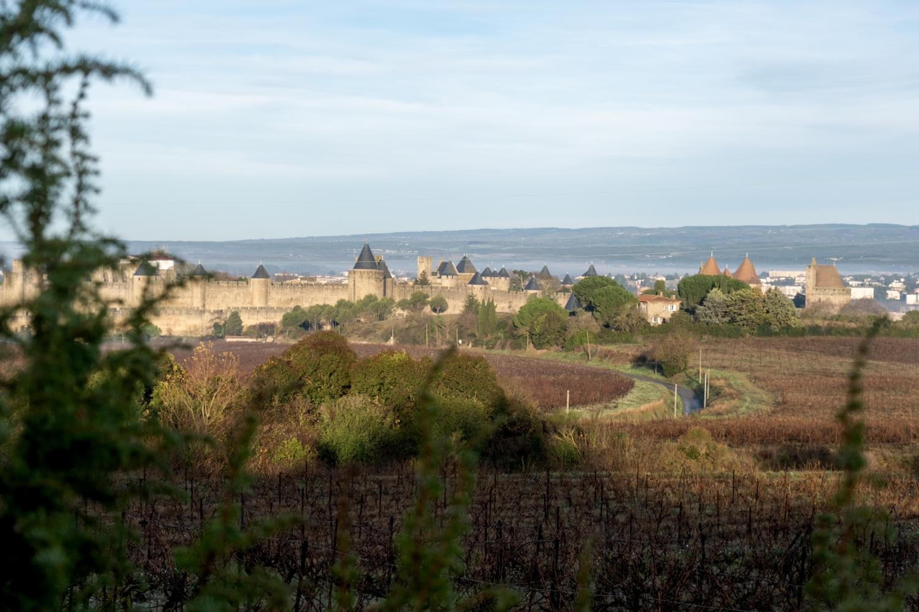 Villa des Cathares