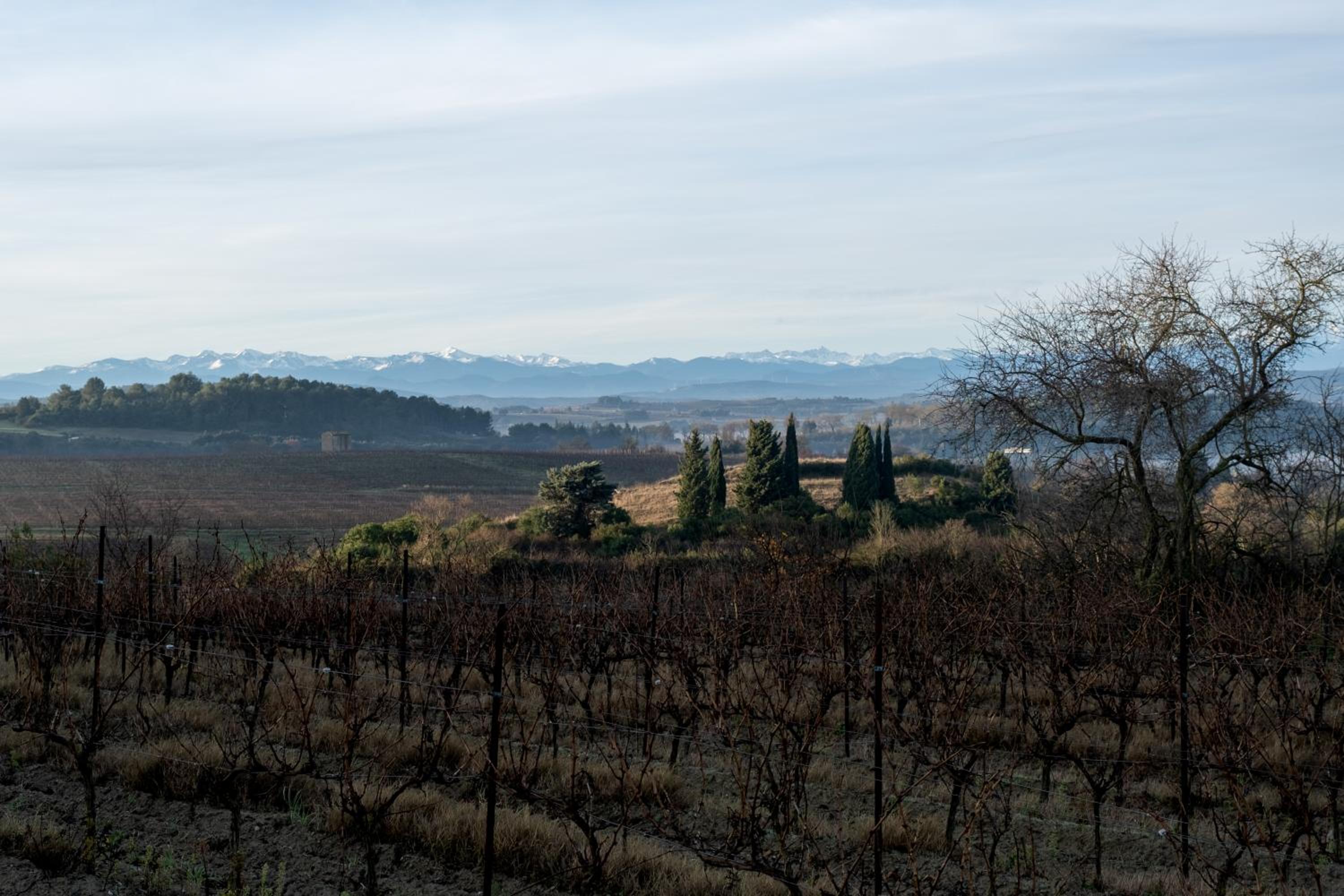 Villa des Cathares