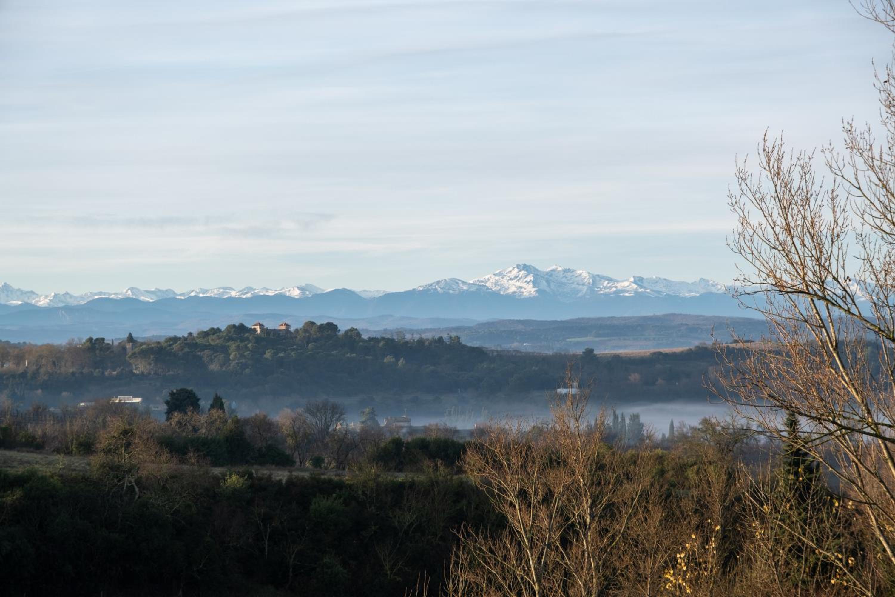 Villa des Cathares