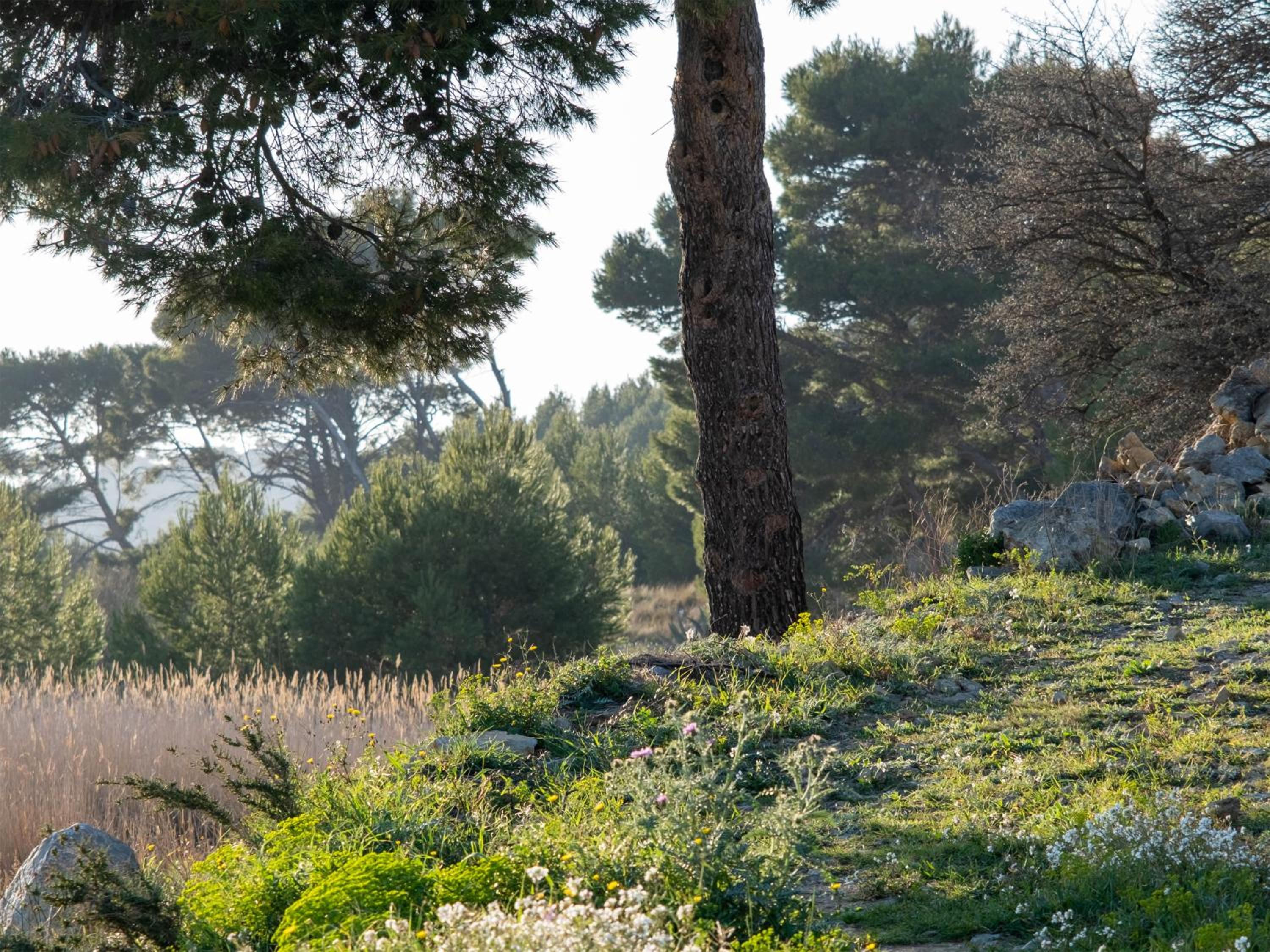 Villa des Cathares