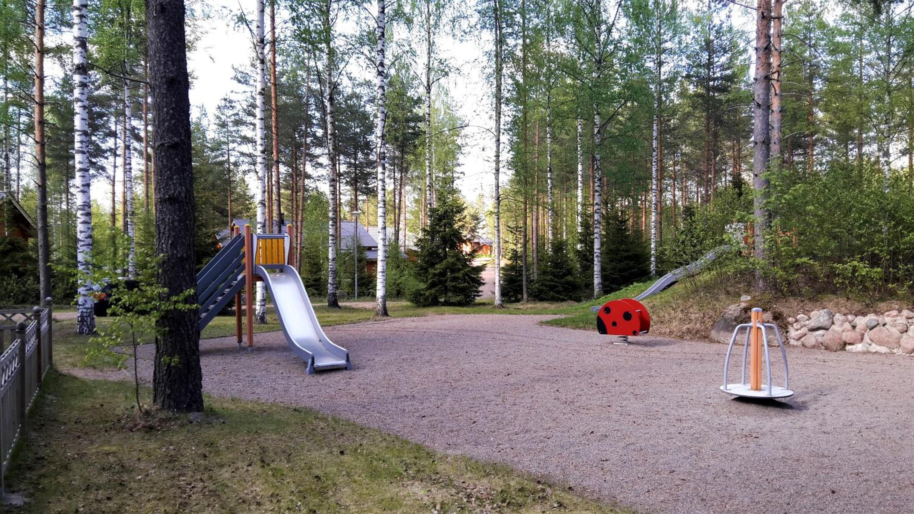 Photo 21