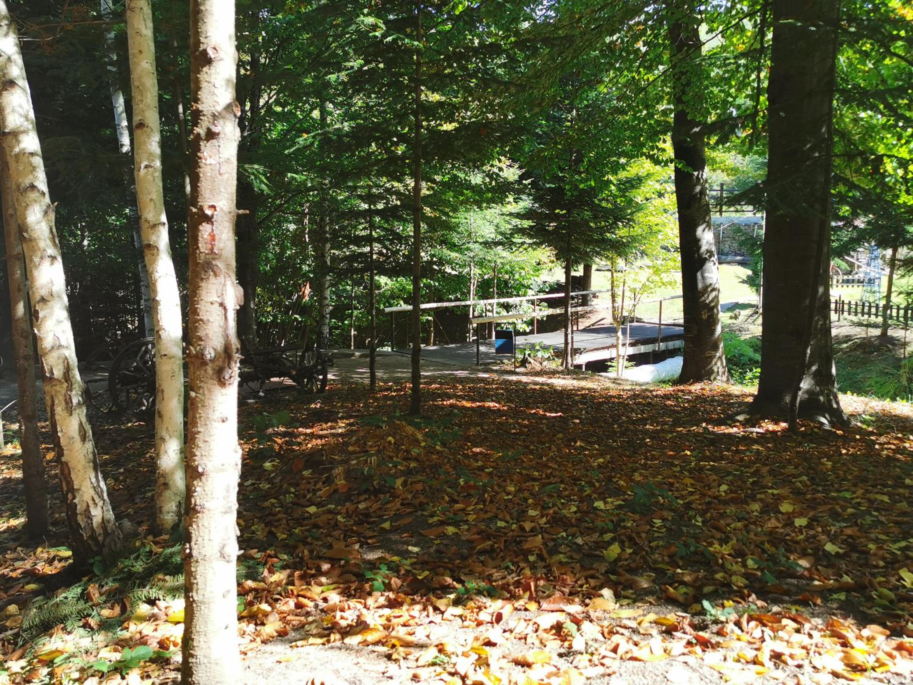 Photo 48