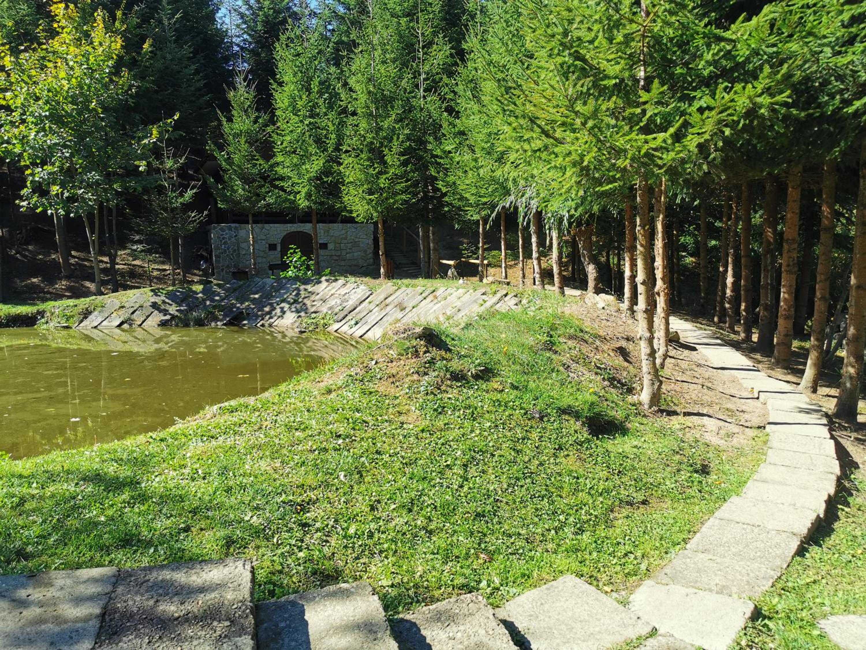 Photo 35