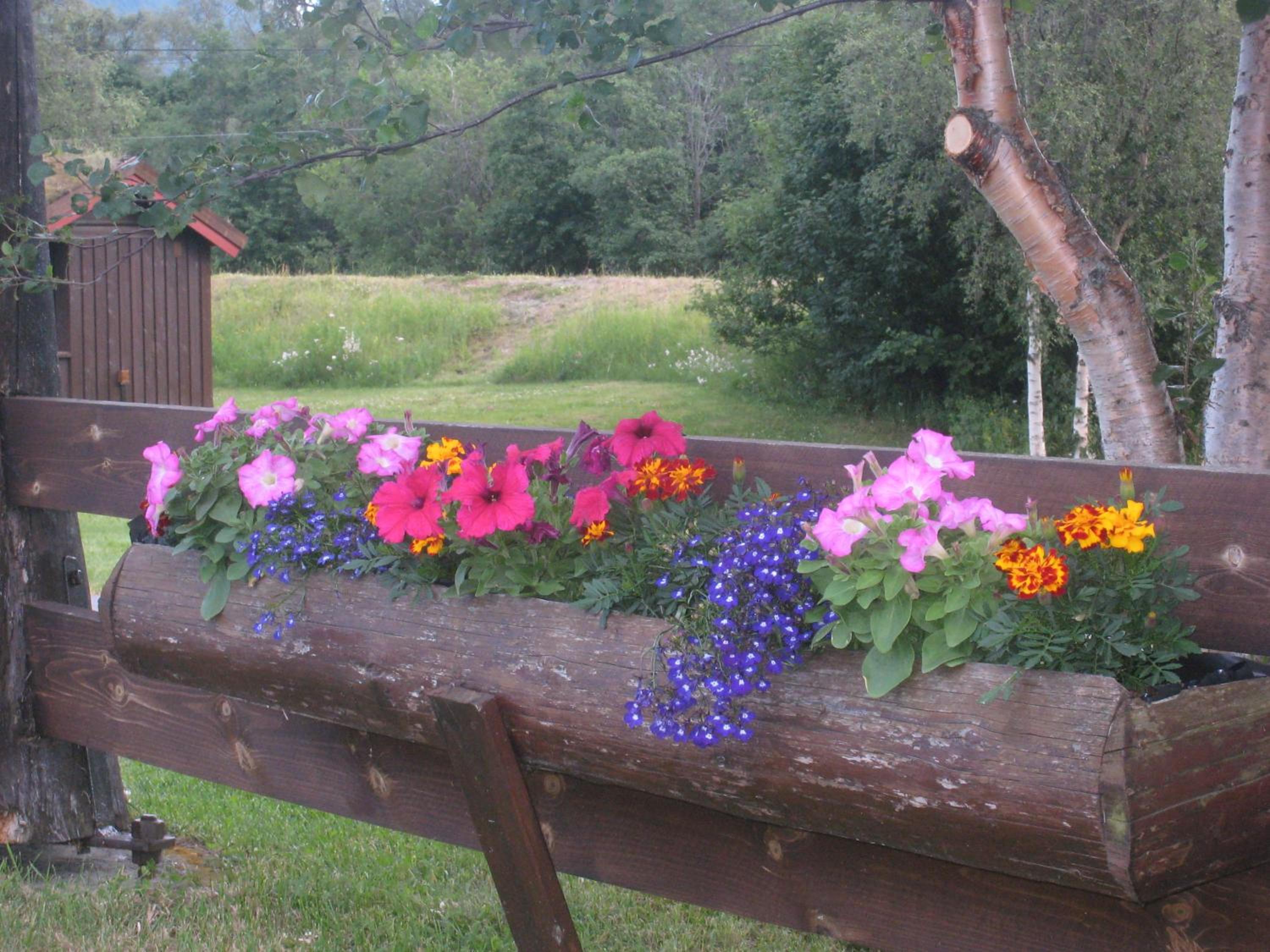 Photo 14