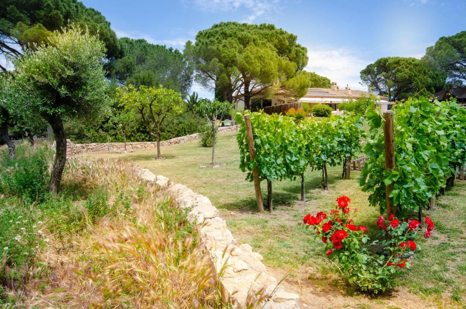 Villa Siena