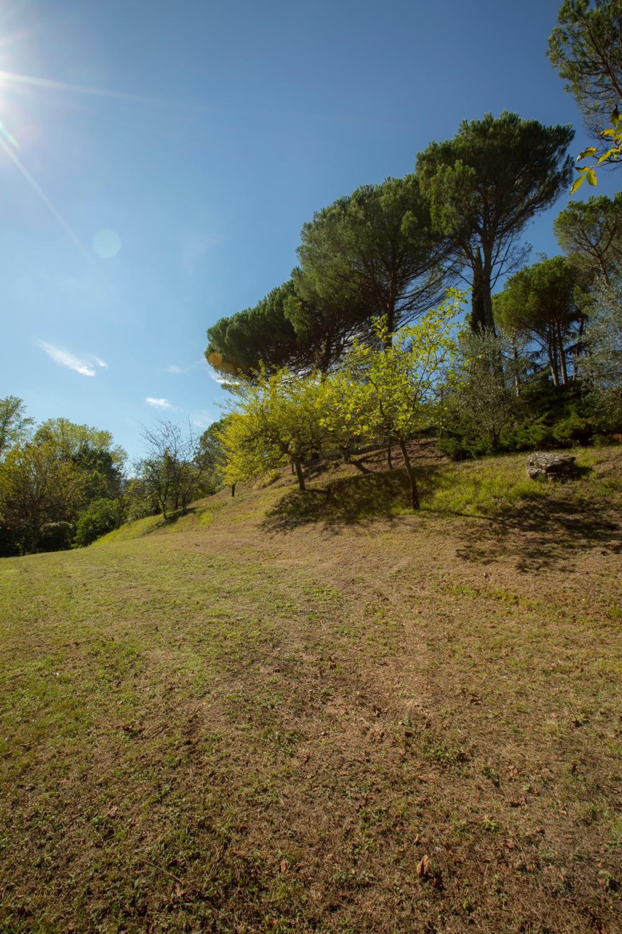 Monteaperto view 3