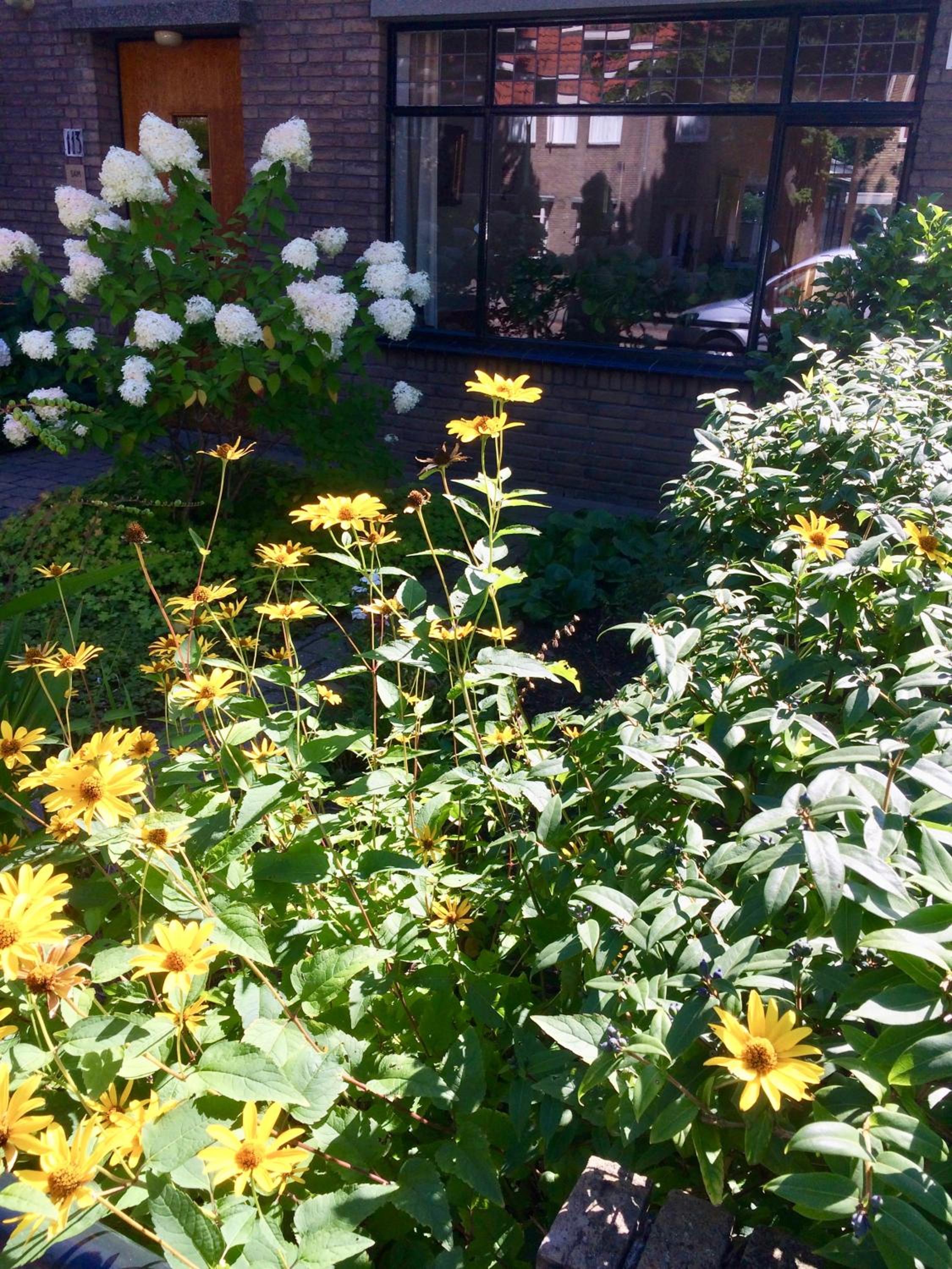 Photo 6