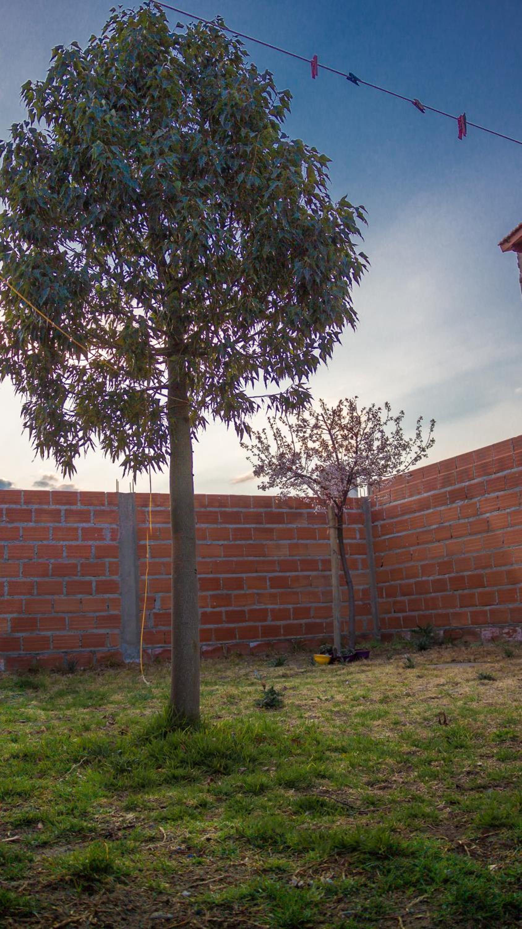 Casa en Cafayate